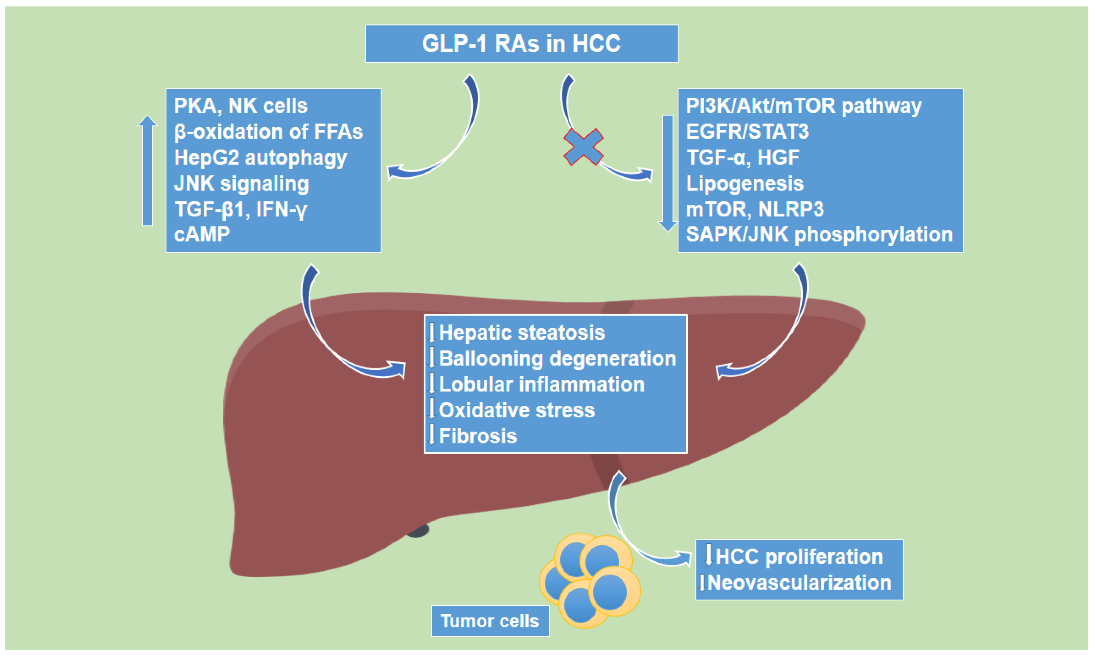 Cancers 14 04651 g002