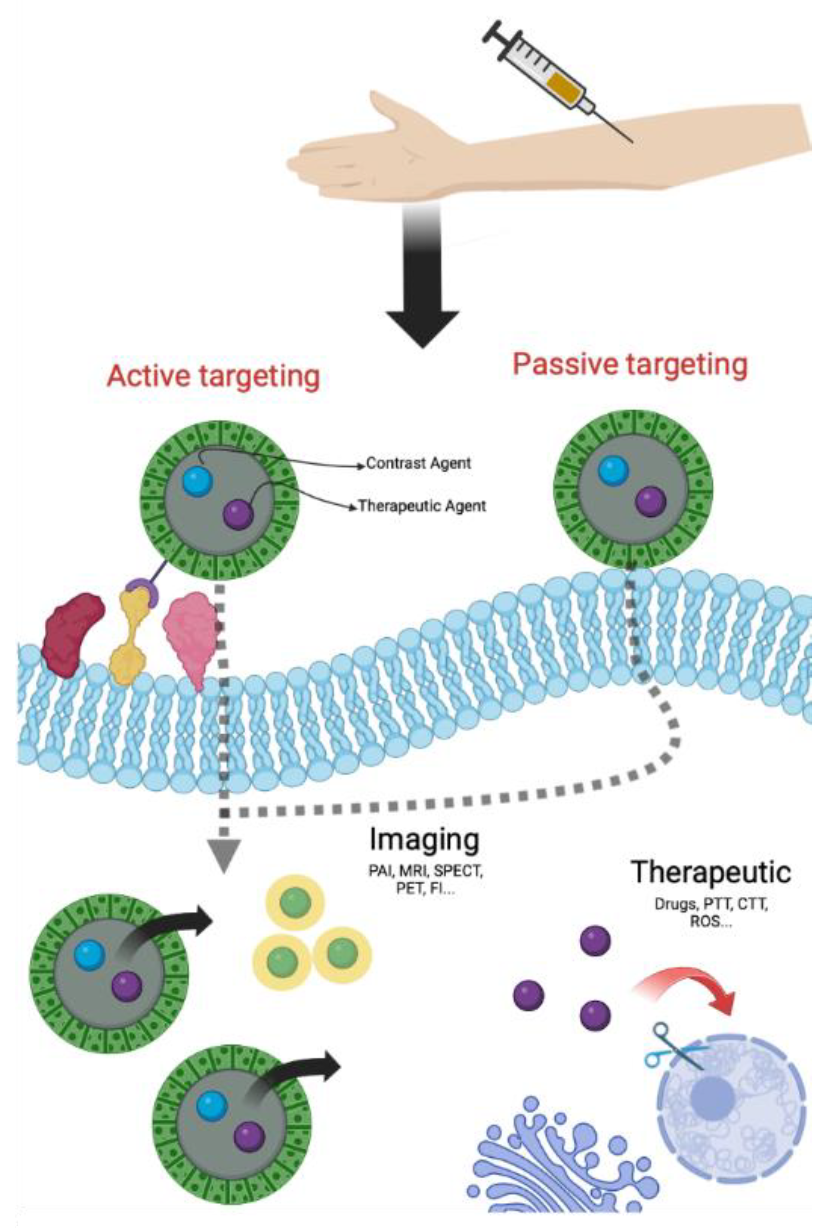 Cancers 14 04654 g001