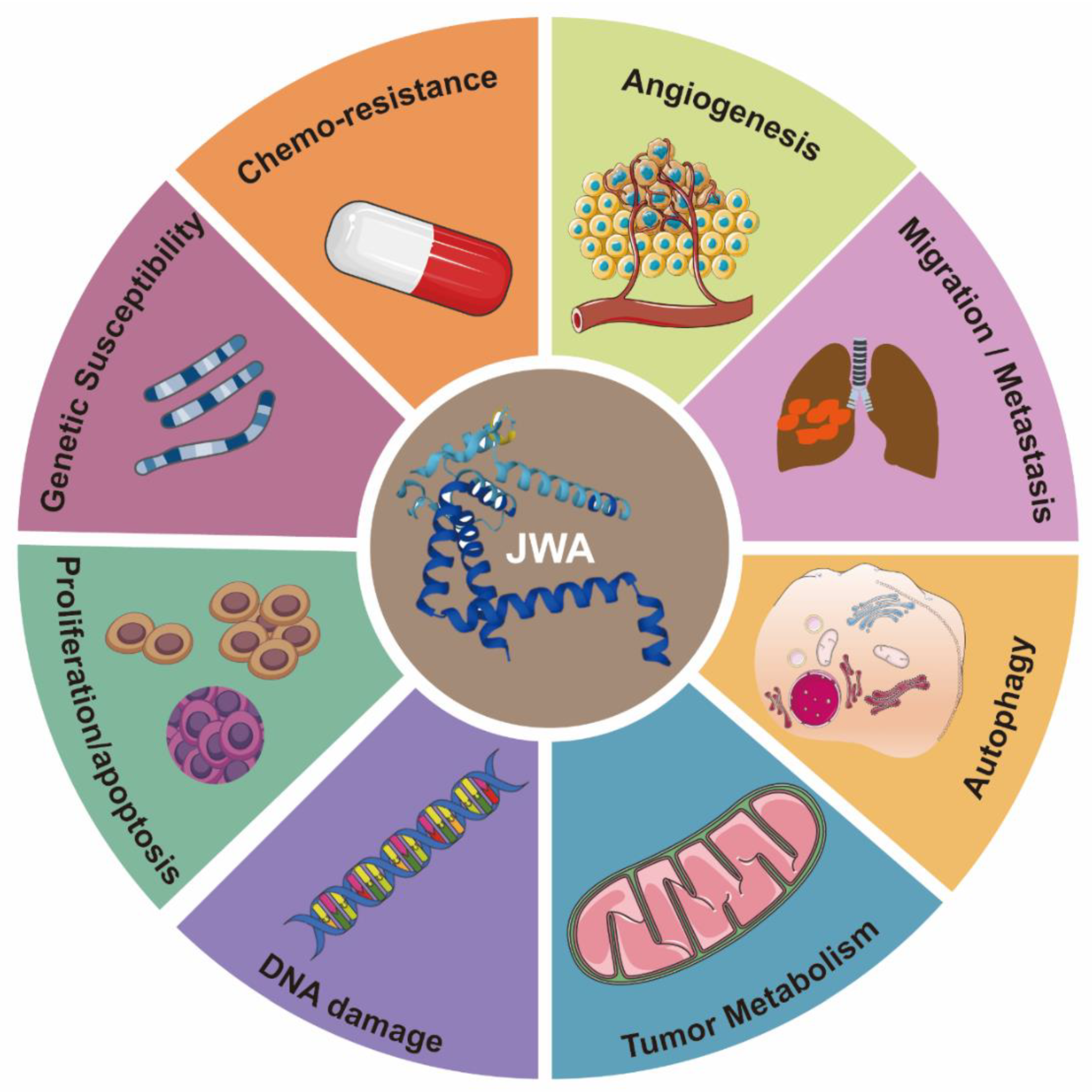 Cancers 14 04655 g002