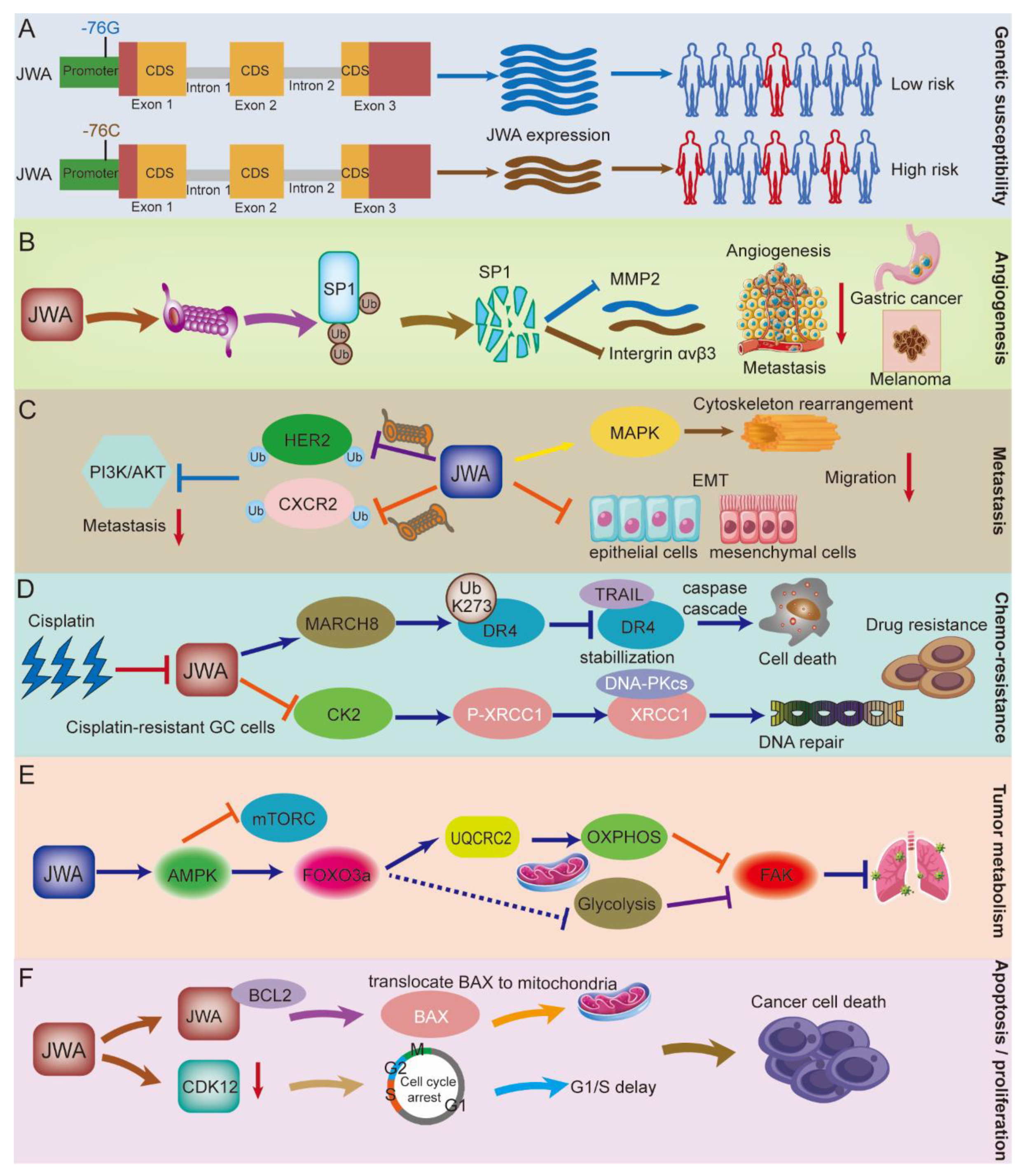 Cancers 14 04655 g003