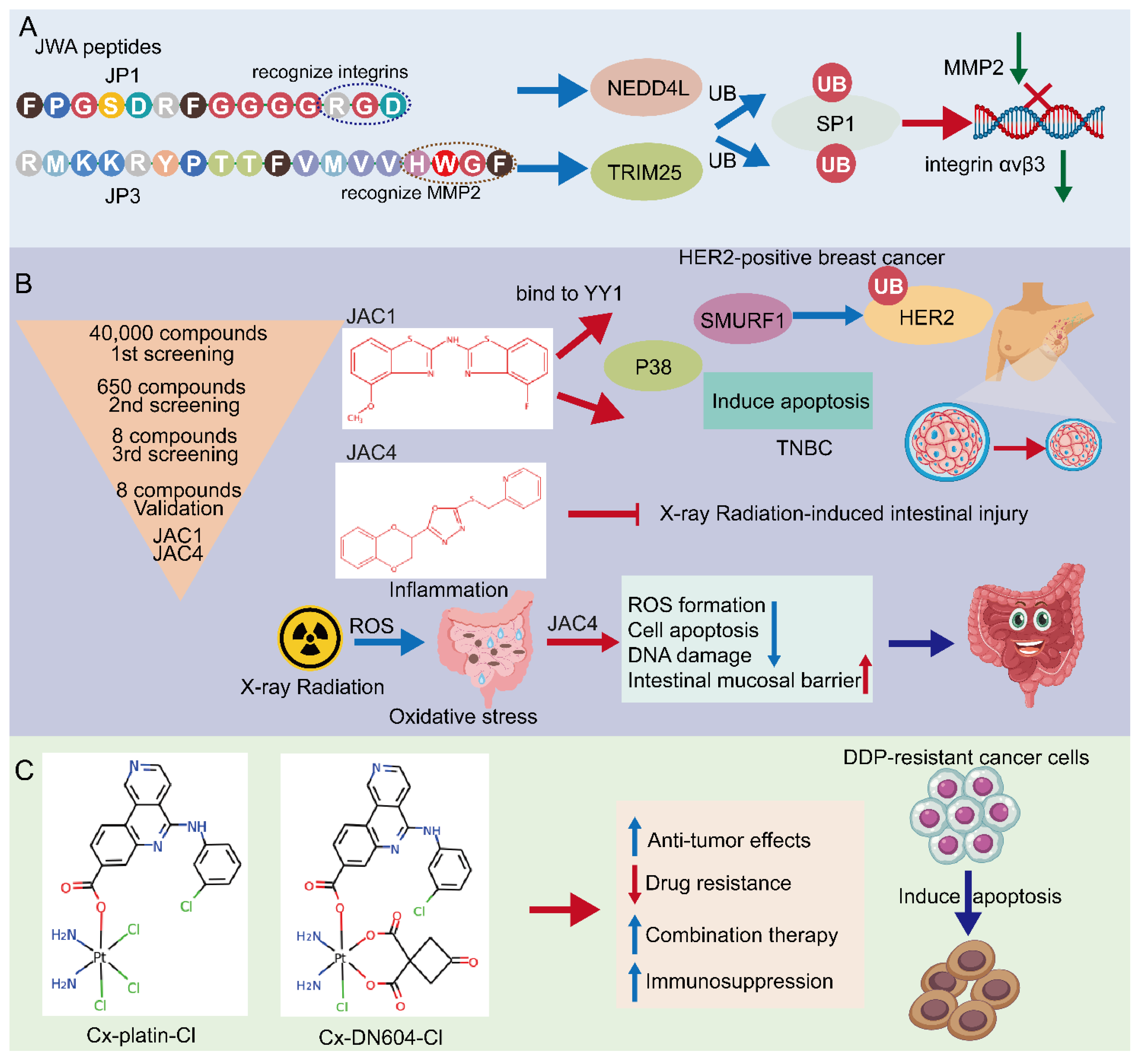 Cancers 14 04655 g004