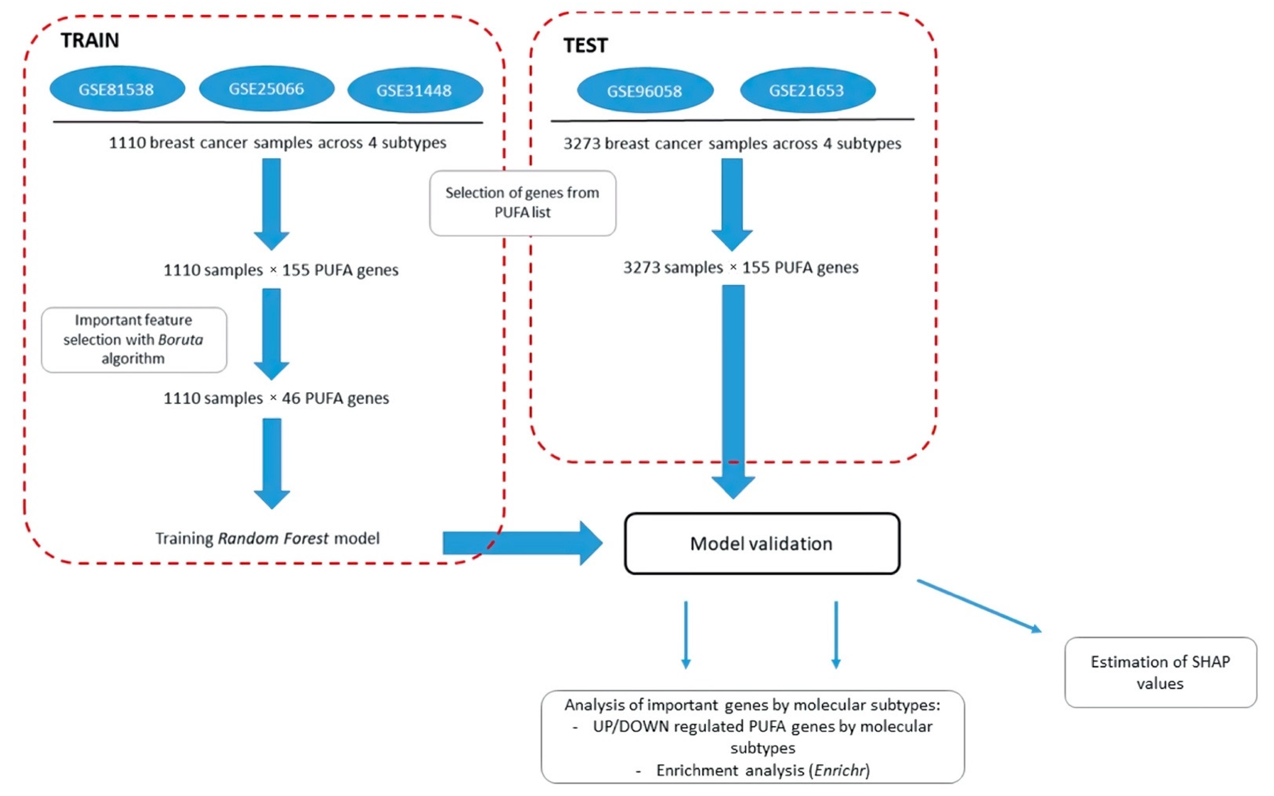 Cancers 14 04663 g004