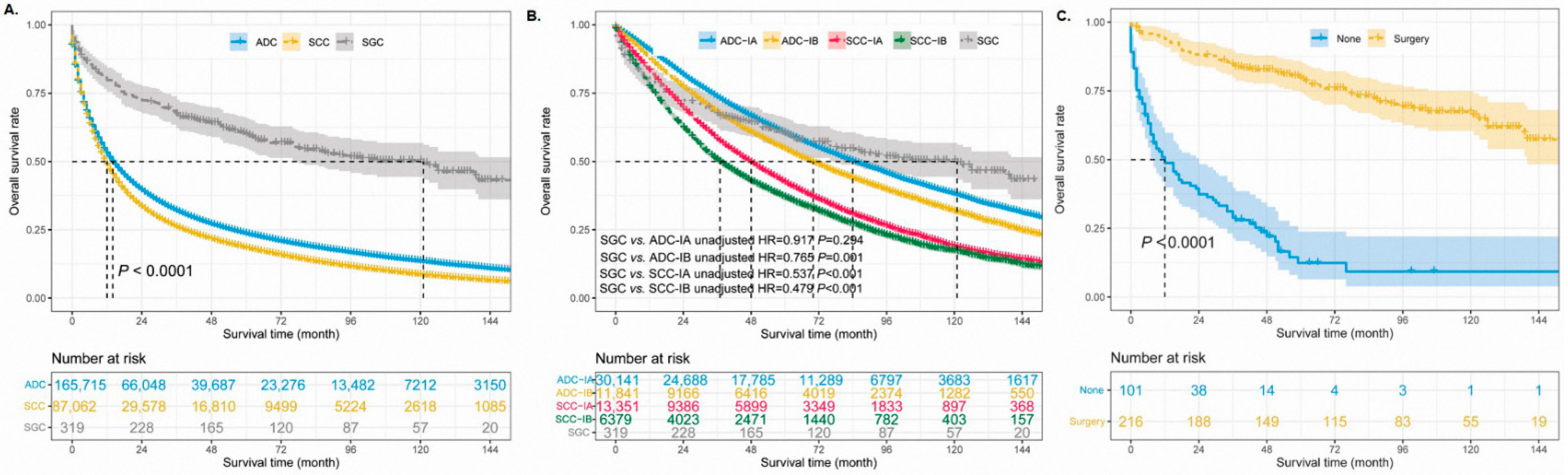 Cancers 14 04668 g003