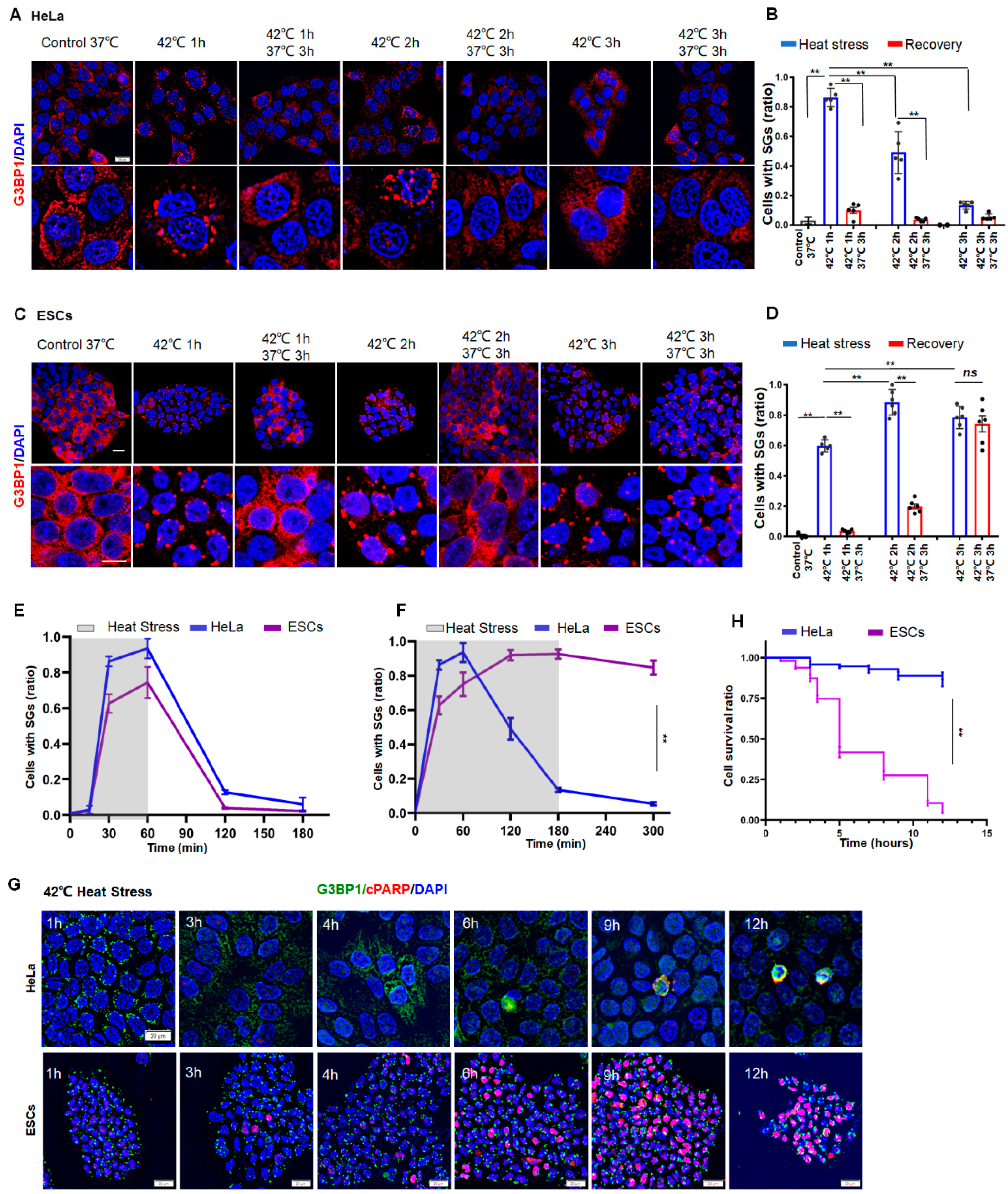 Cancers 14 04671 g001 Cancers 14 04671 g001