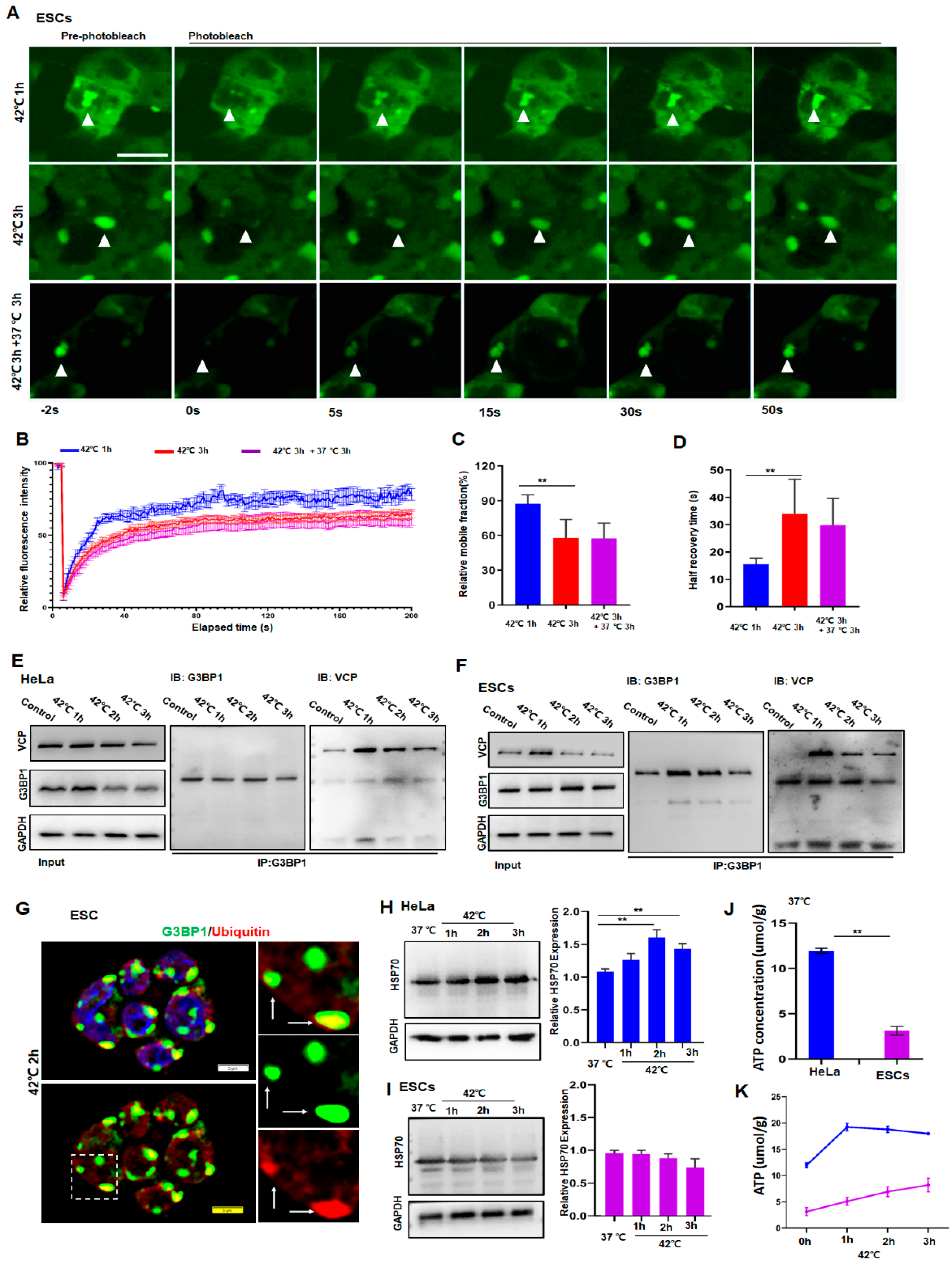 Cancers 14 04671 g002 Cancers 14 04671 g002