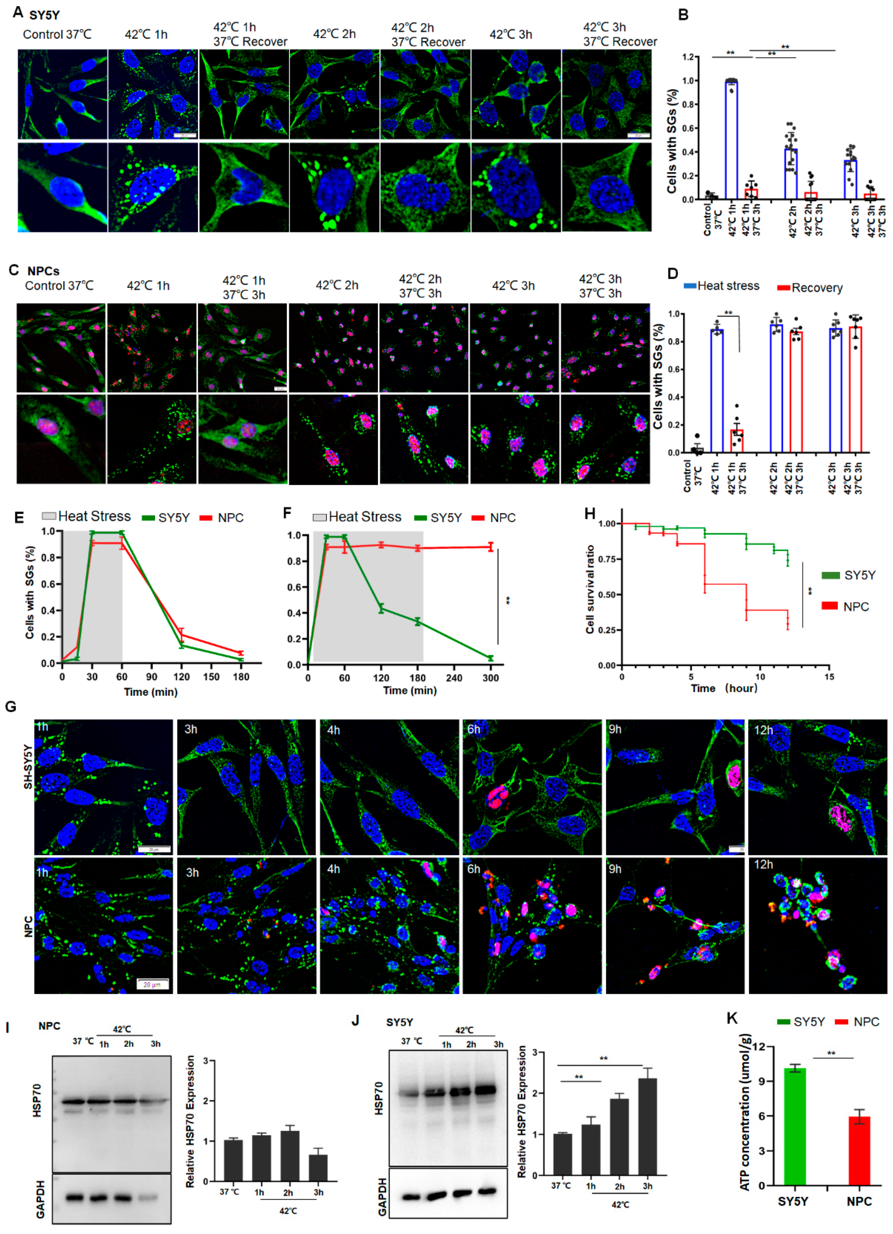 Cancers 14 04671 g003 Cancers 14 04671 g003
