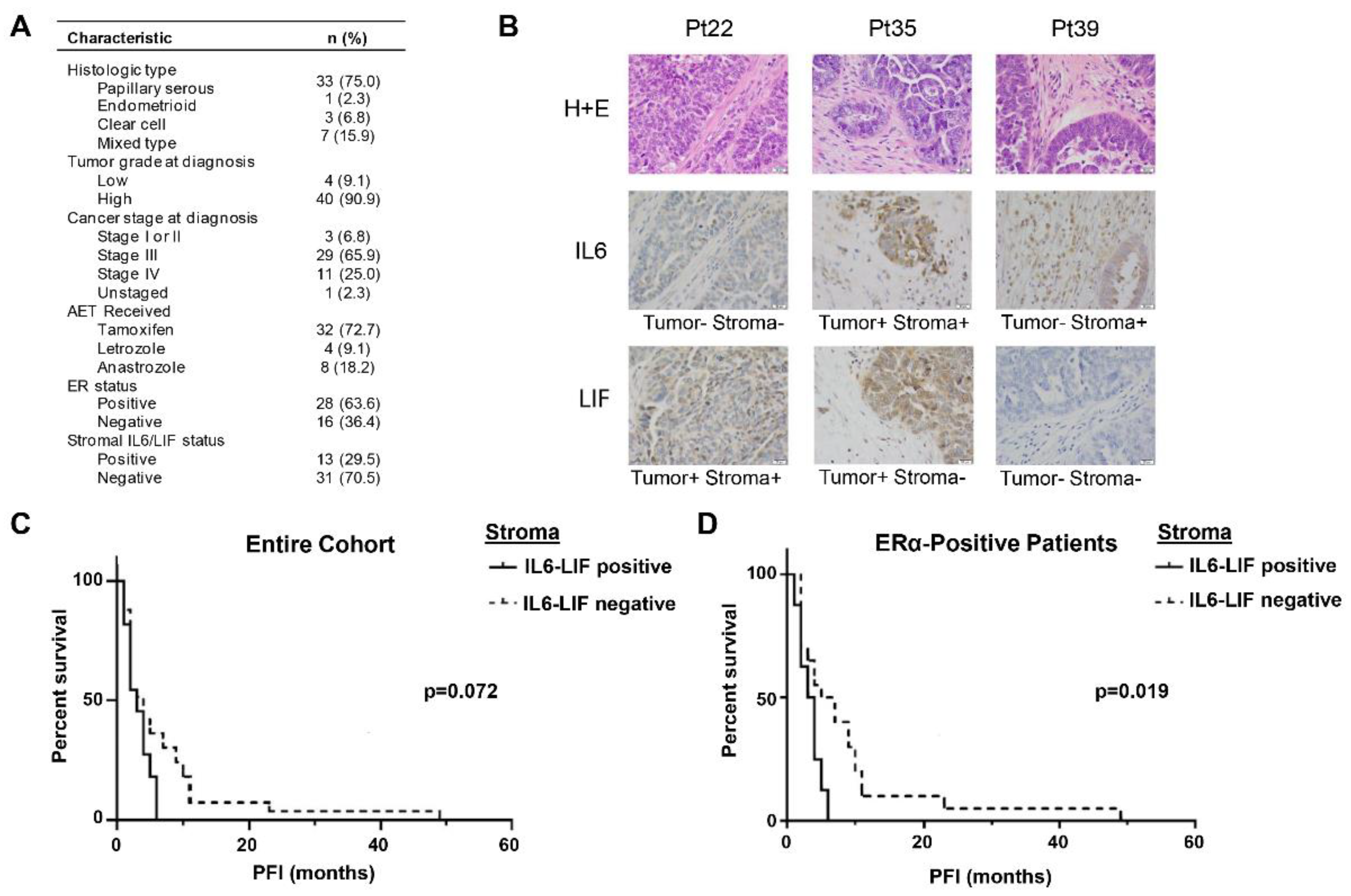Cancers 14 04675 g001