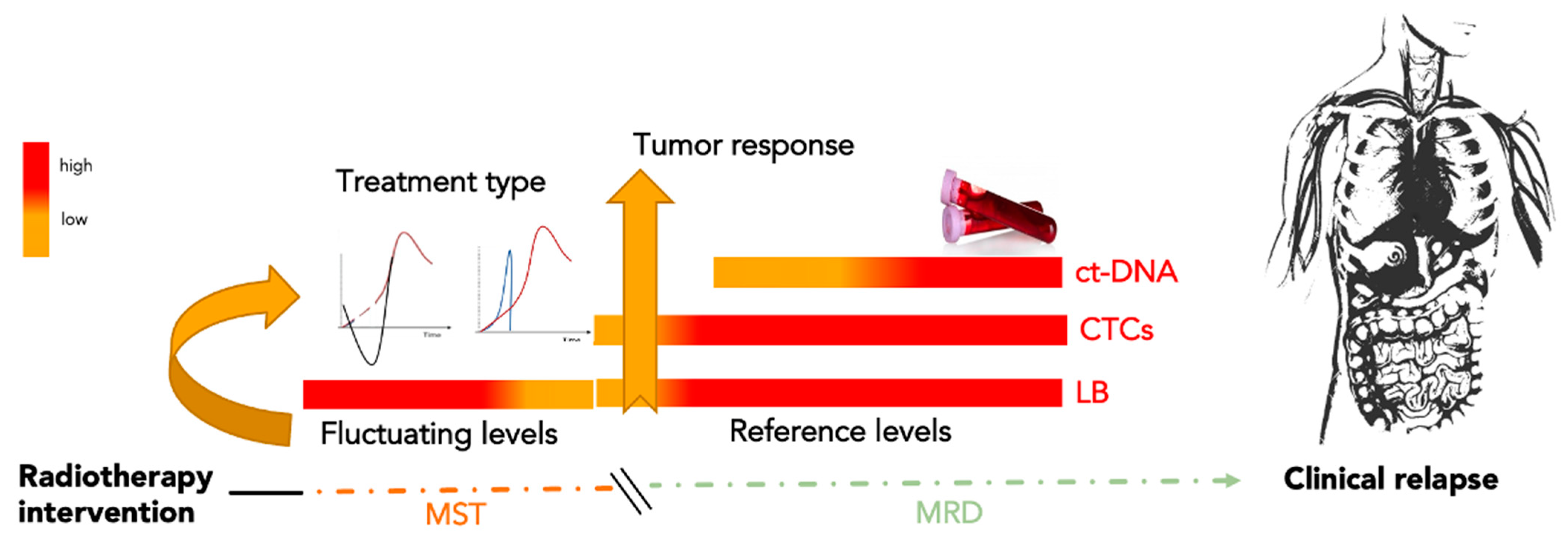 Cancers 14 04676 g004