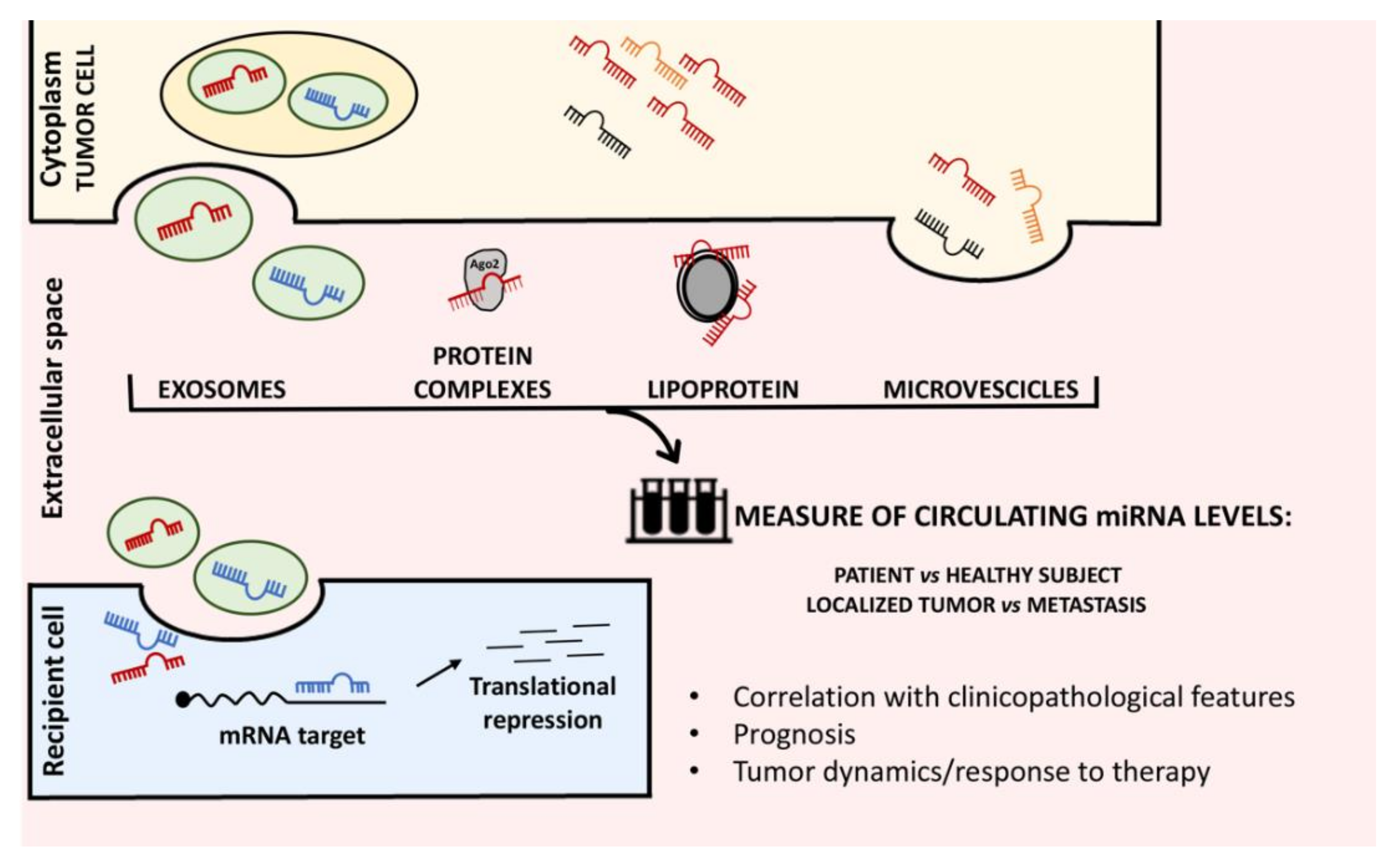 Cancers 14 04677 g001 Cancers 14 04677 g001