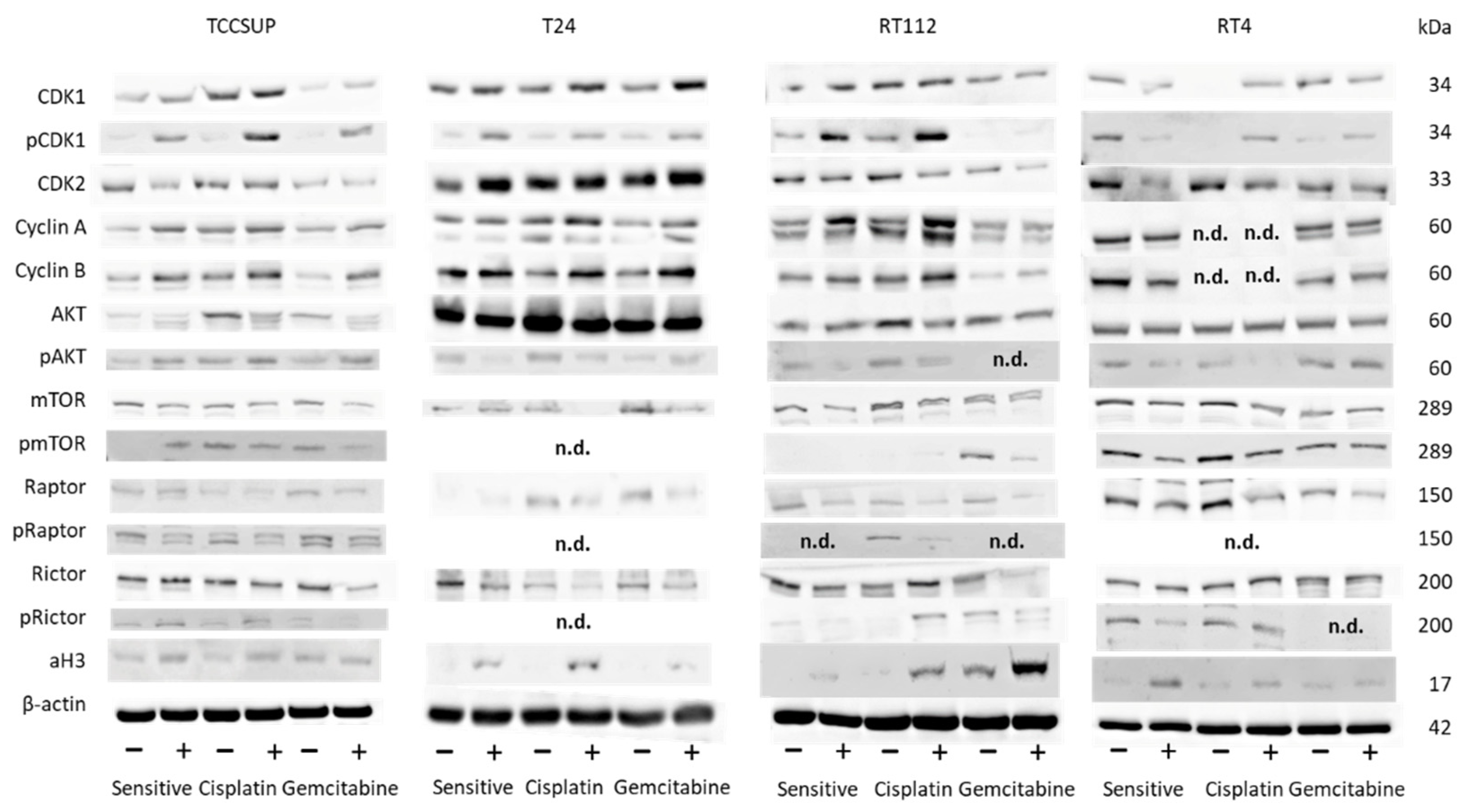 Cancers 14 04682 g007