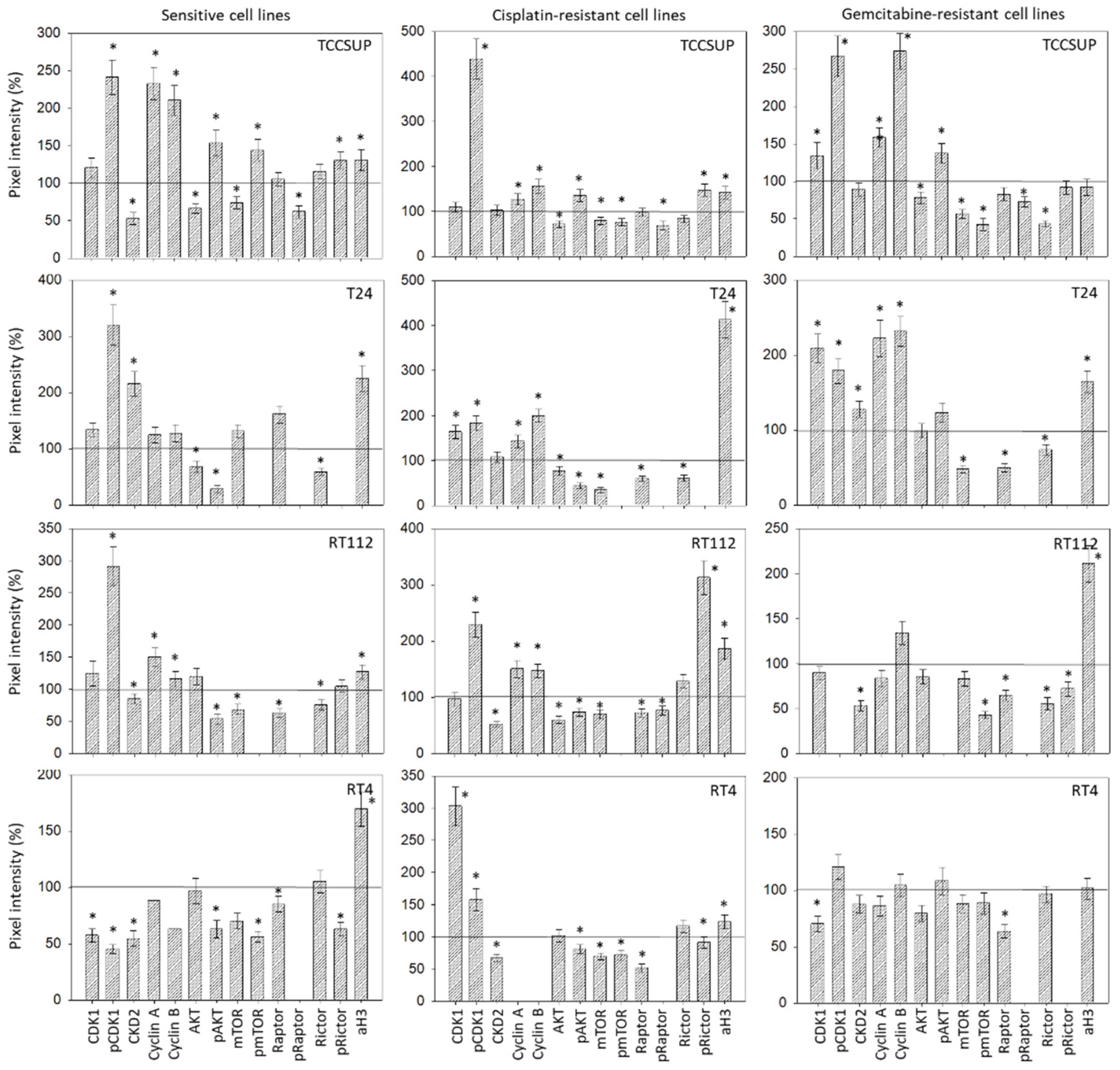 Cancers 14 04682 g008