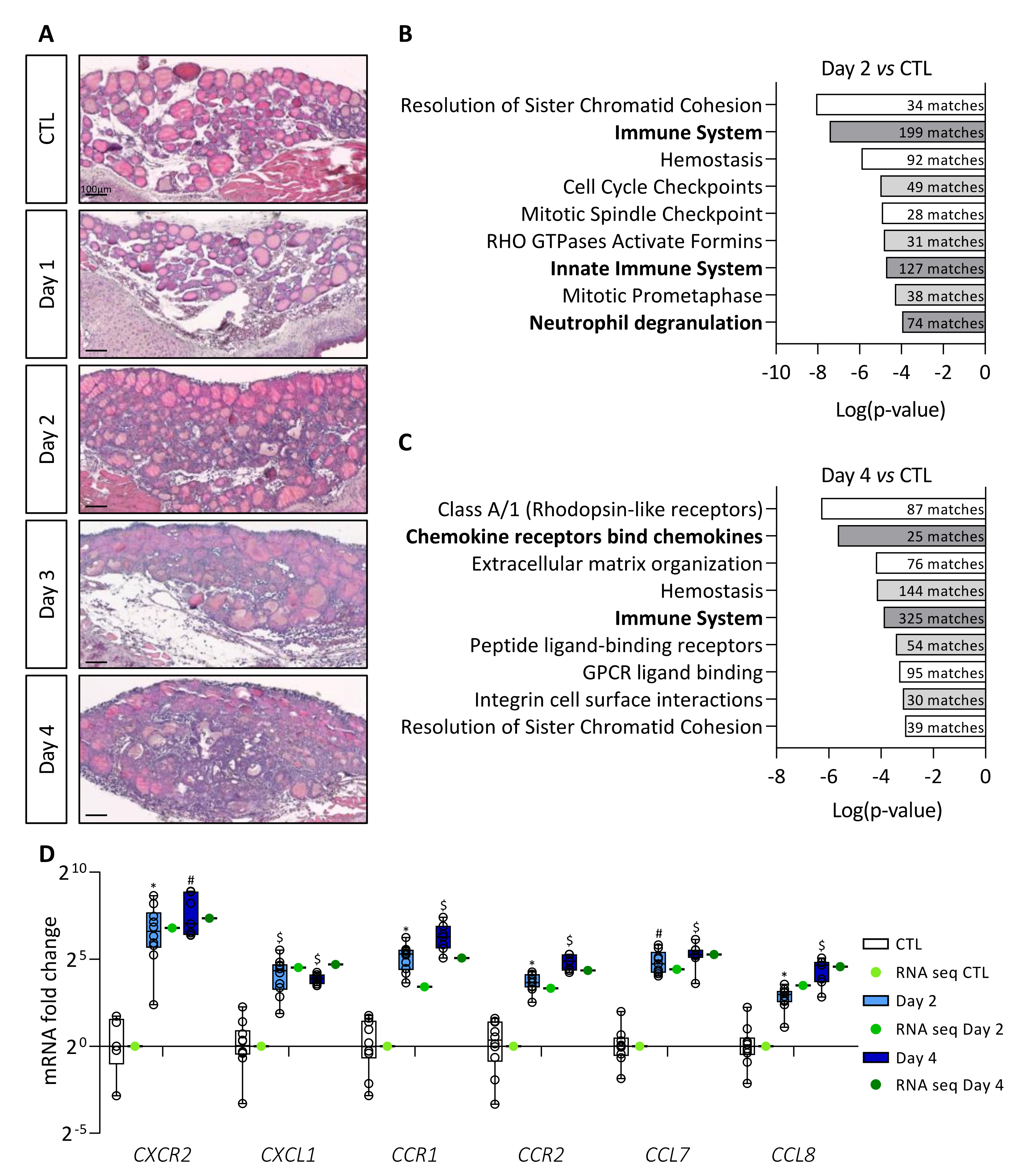 Cancers 14 04687 g001