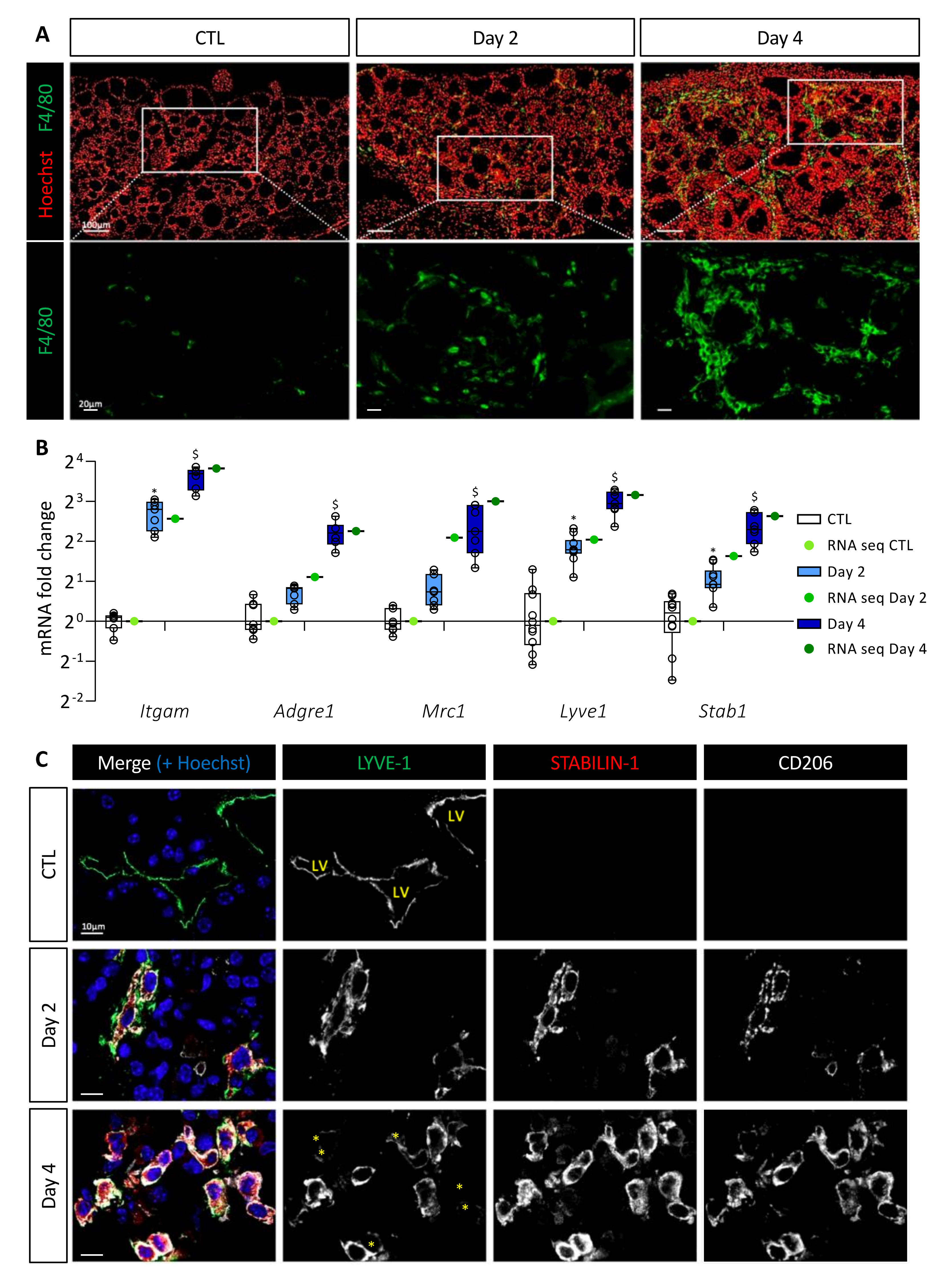 Cancers 14 04687 g002