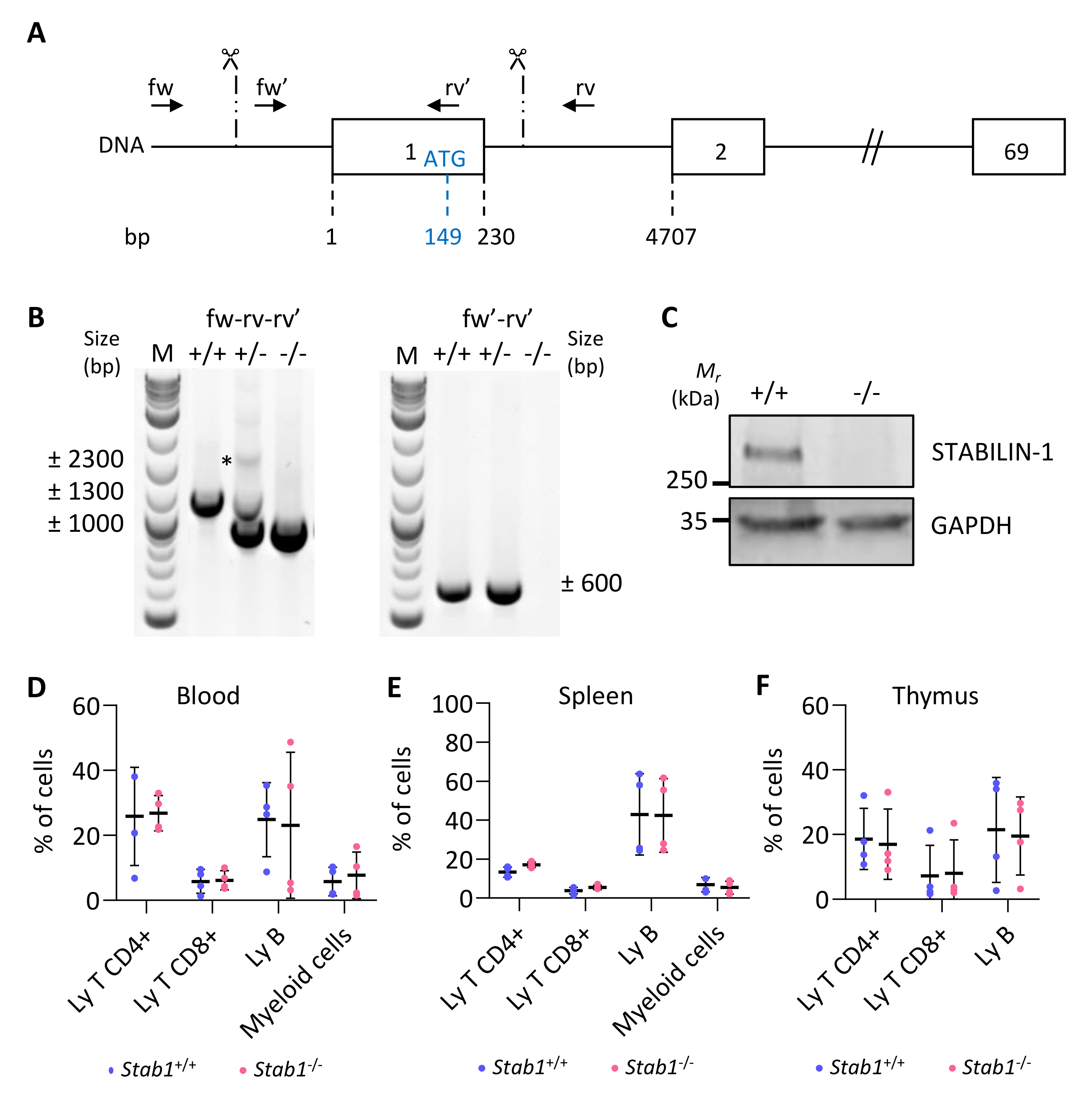 Cancers 14 04687 g003