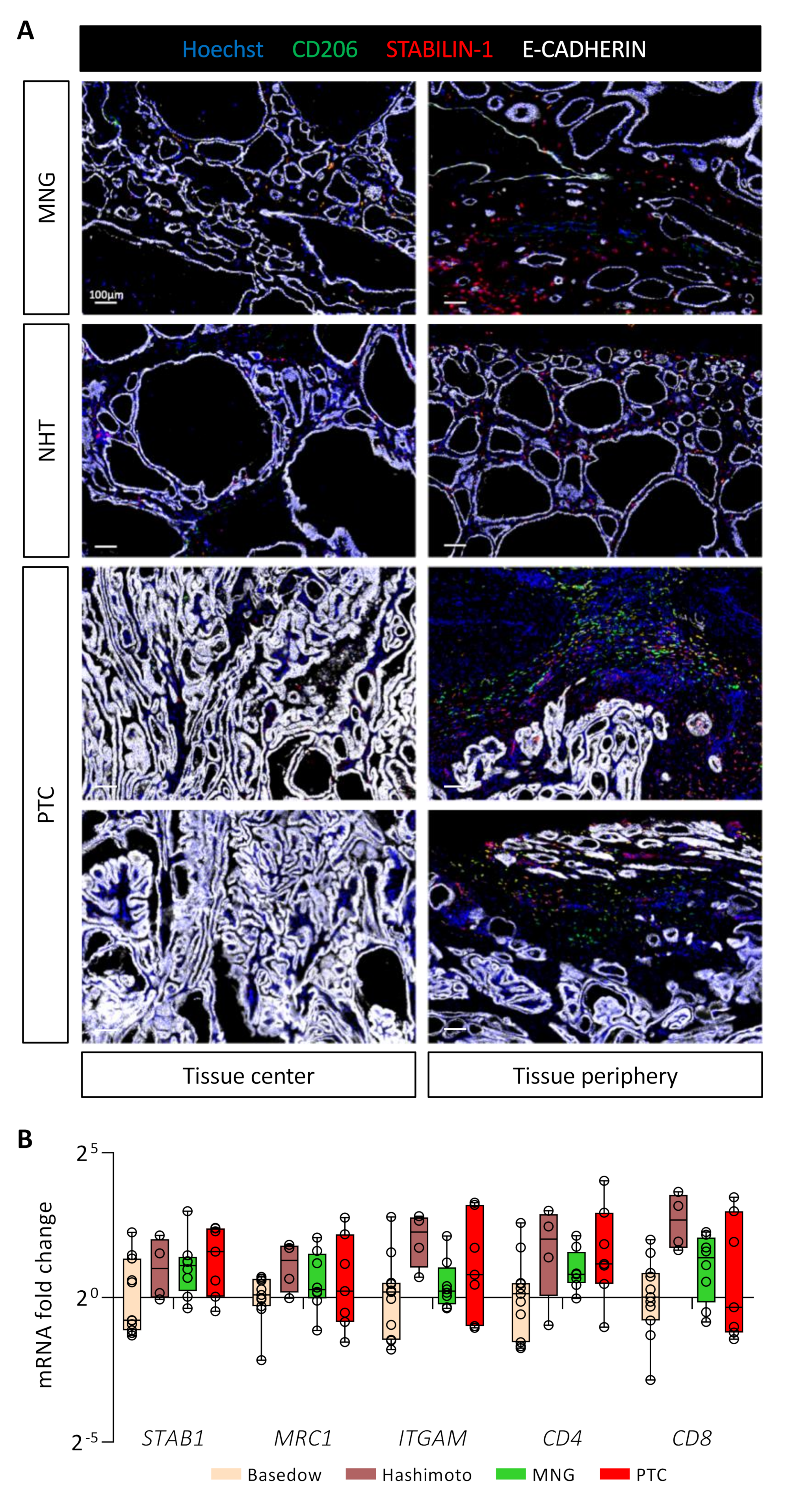 Cancers 14 04687 g006
