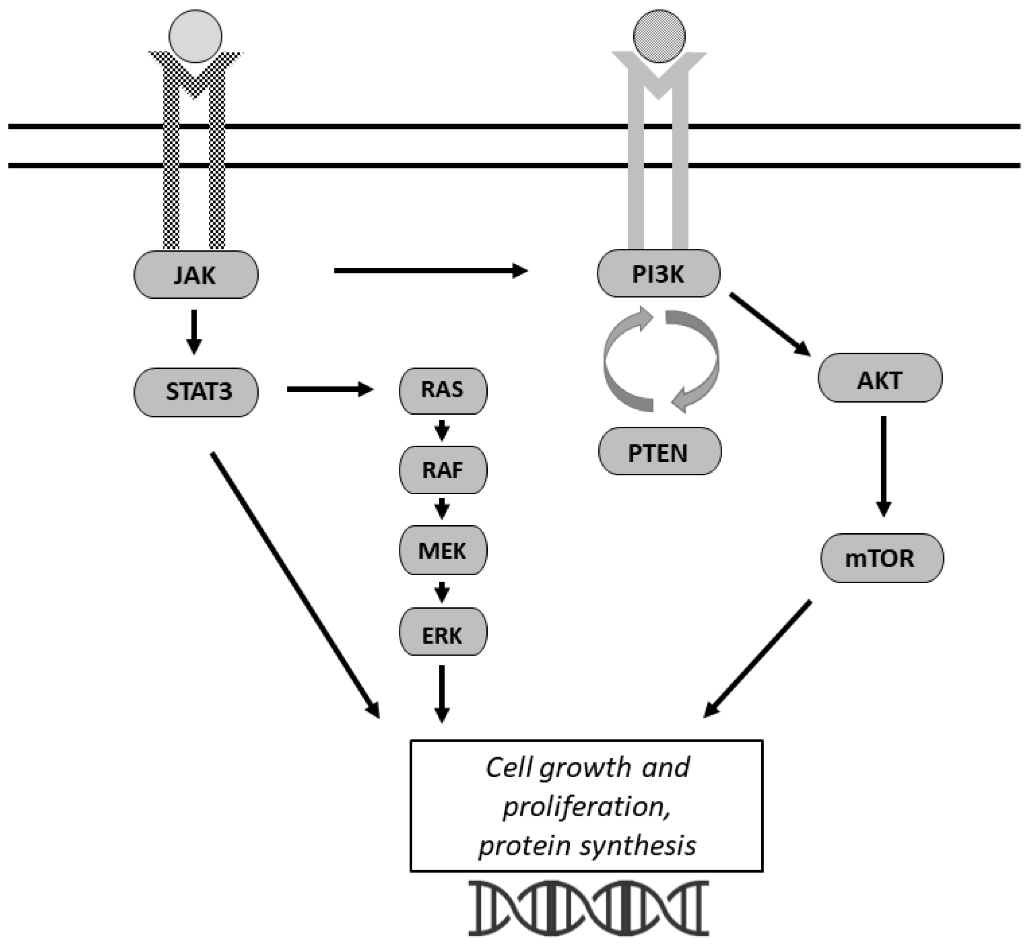 Cancers 14 04696 g002 Cancers 14 04696 g002