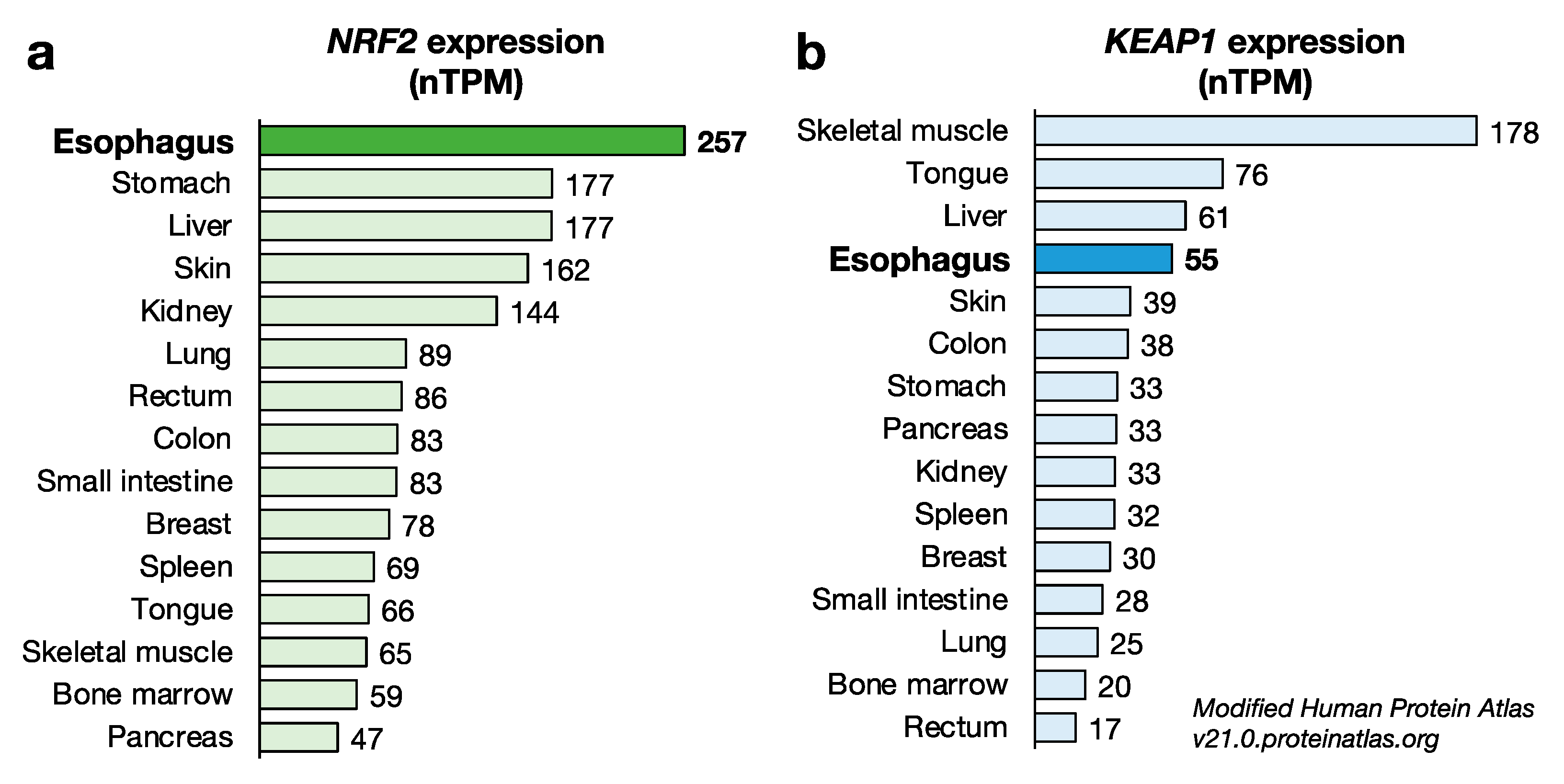 Cancers 14 04702 g002 Cancers 14 04702 g002