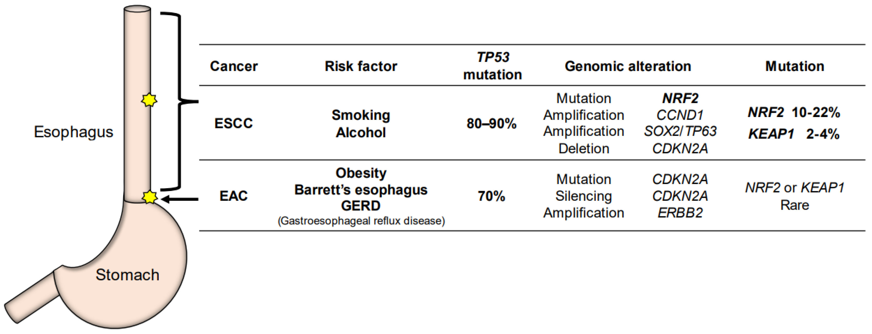 Cancers 14 04702 g003 Cancers 14 04702 g003