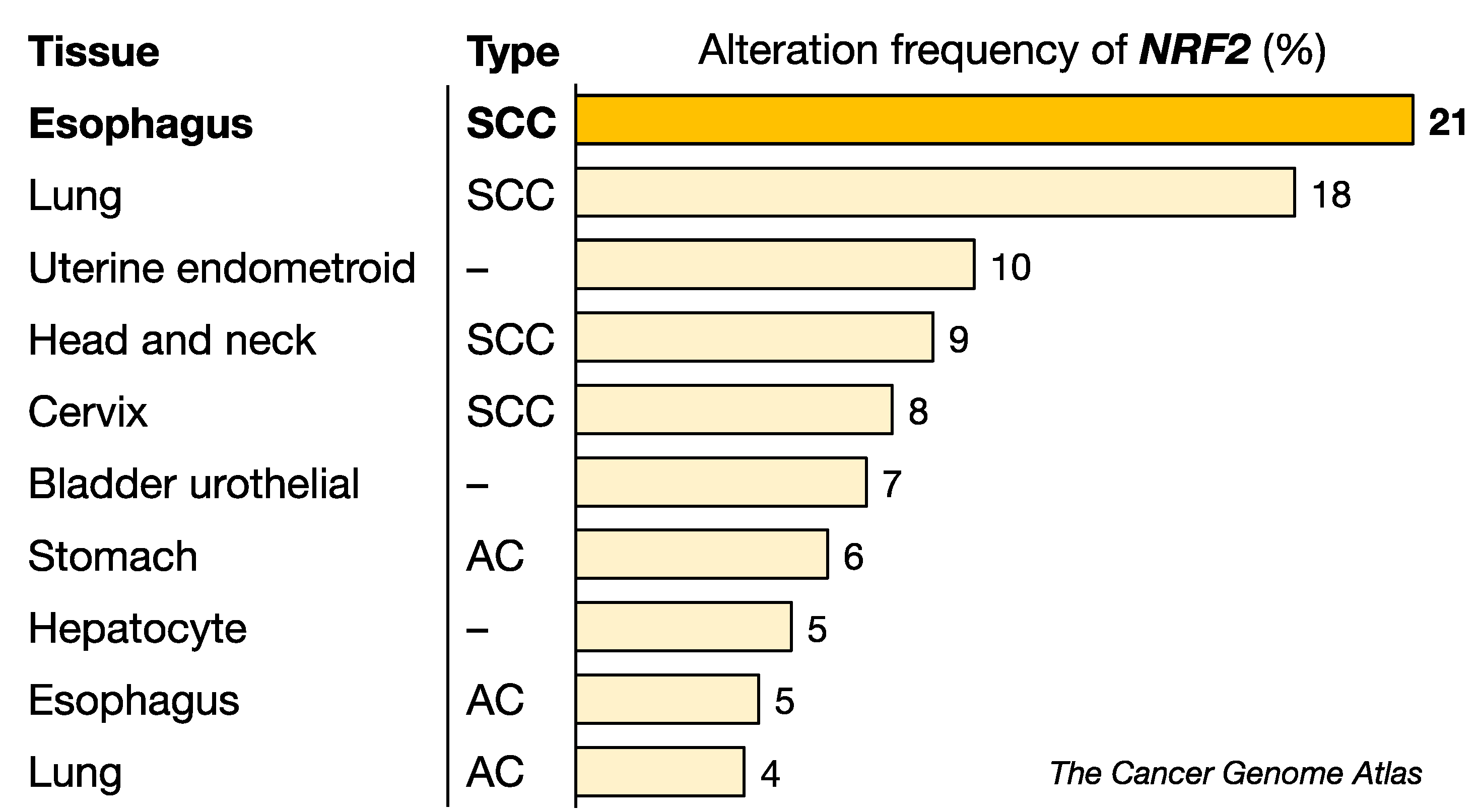 Cancers 14 04702 g004 Cancers 14 04702 g004