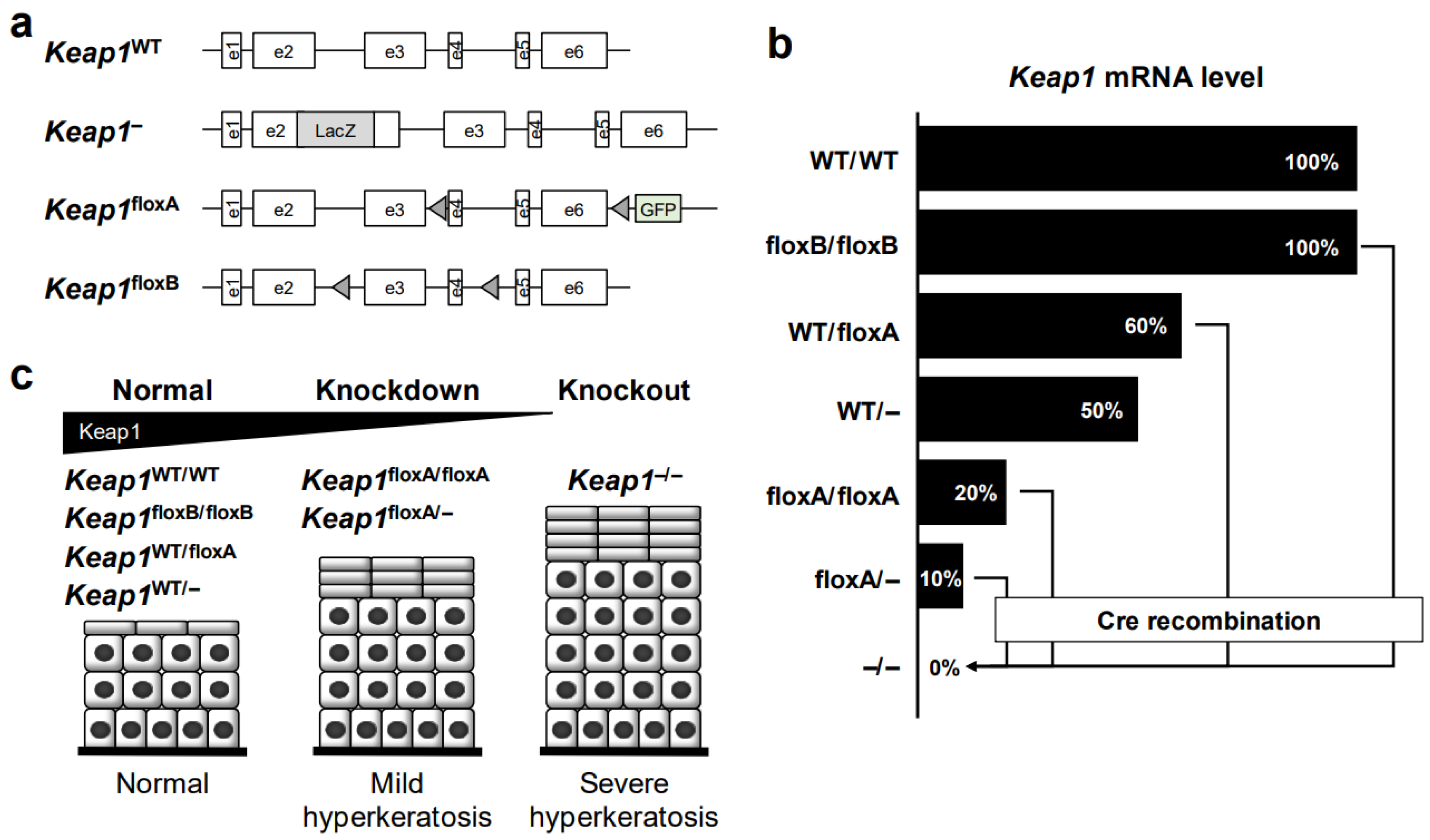 Cancers 14 04702 g005 Cancers 14 04702 g005