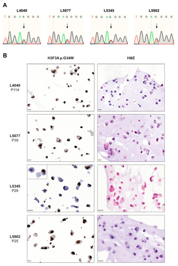 Cancers 14 04708 g001