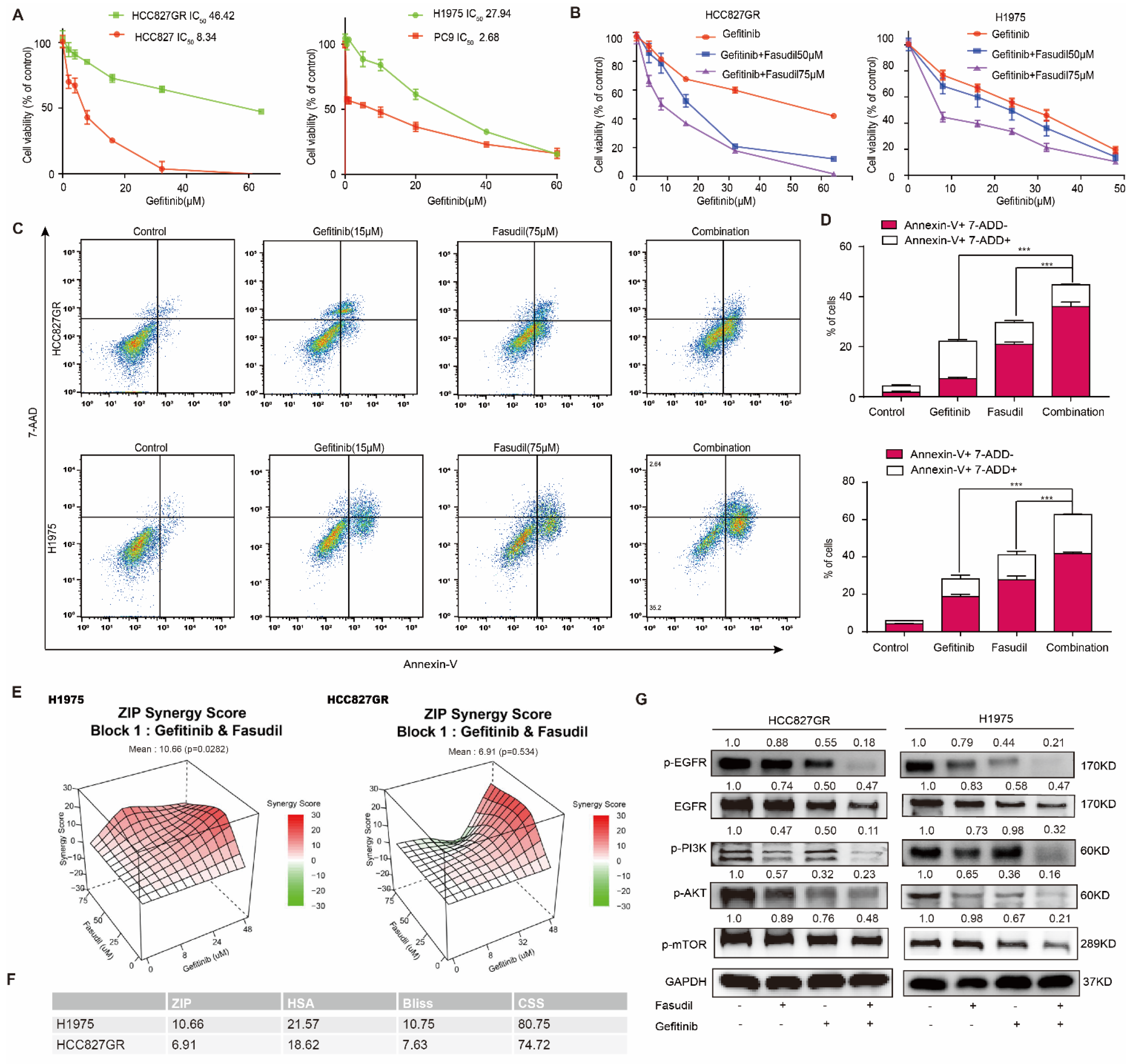 Cancers 14 04709 g002