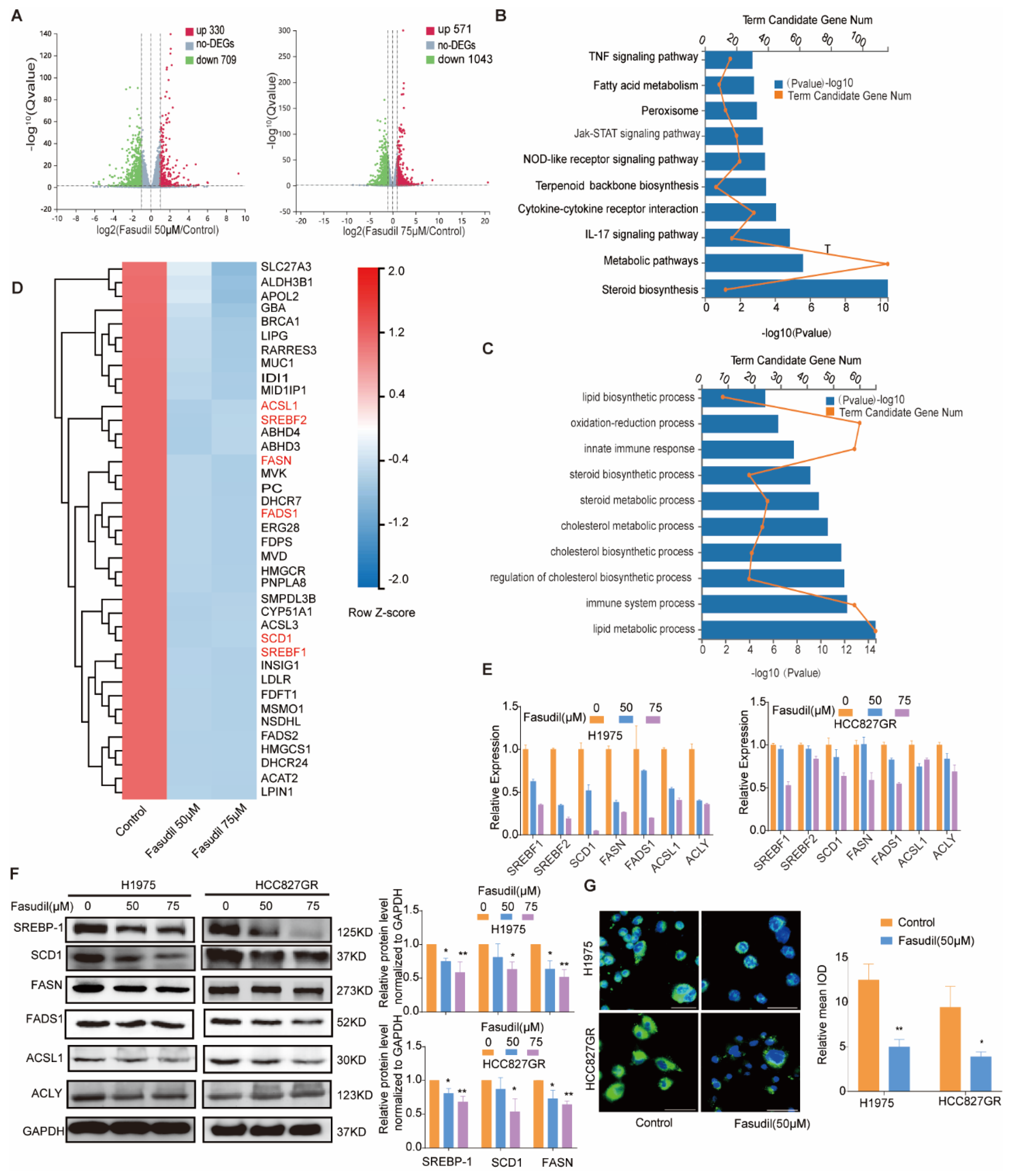 Cancers 14 04709 g003