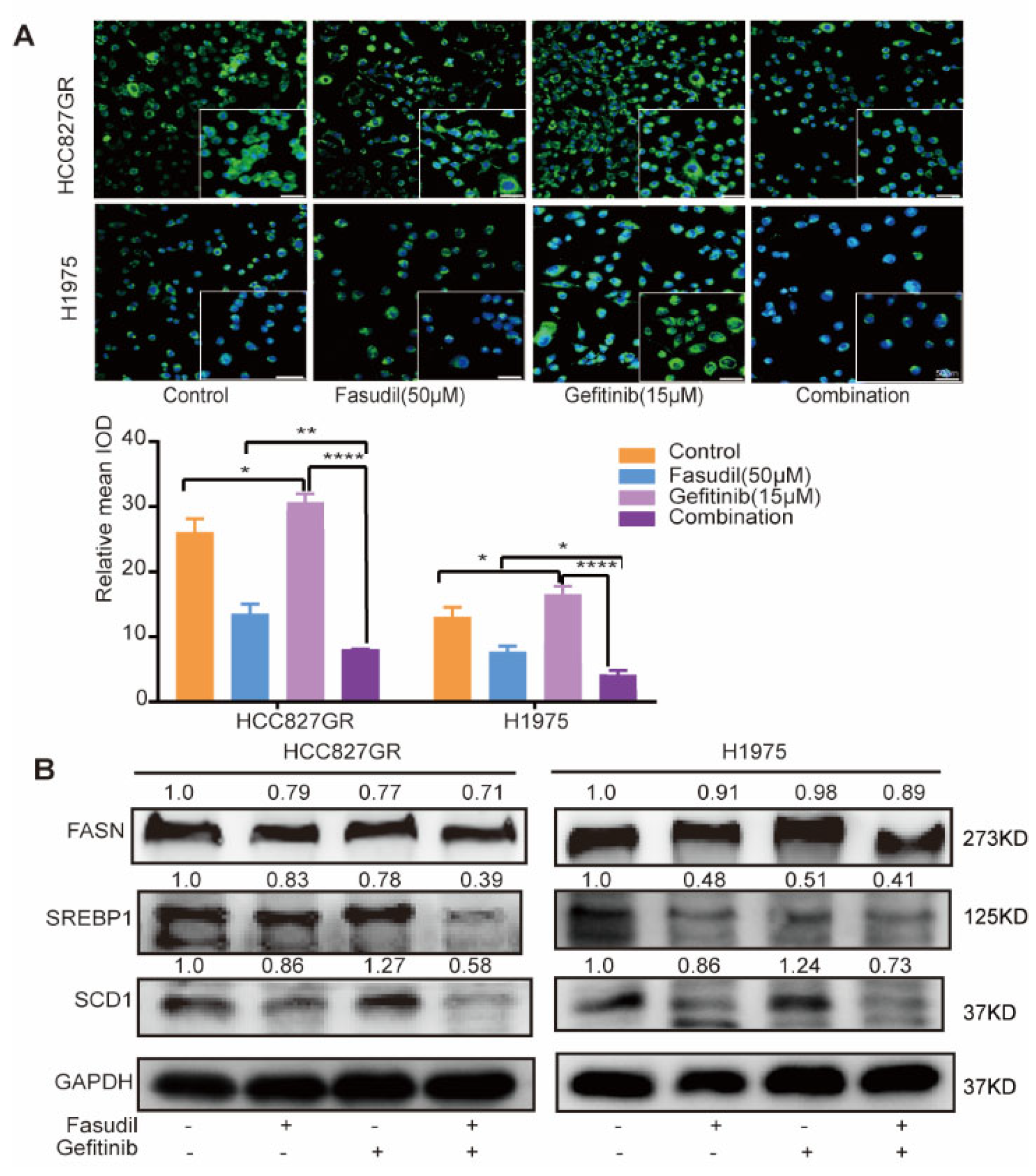 Cancers 14 04709 g004