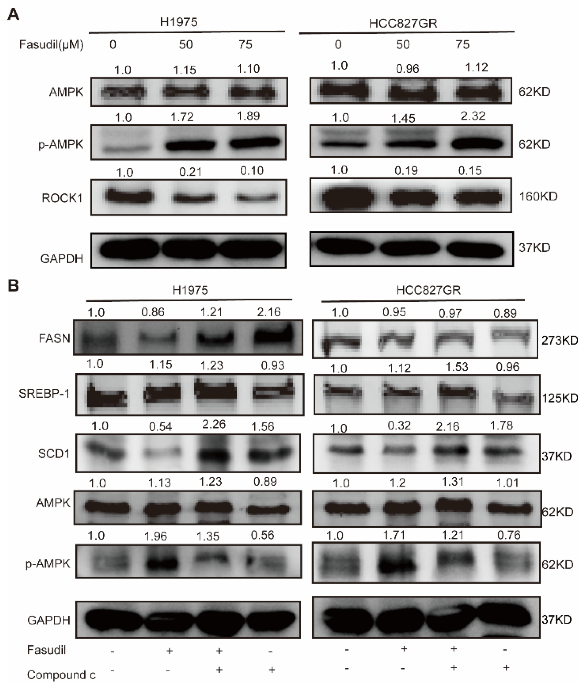Cancers 14 04709 g005