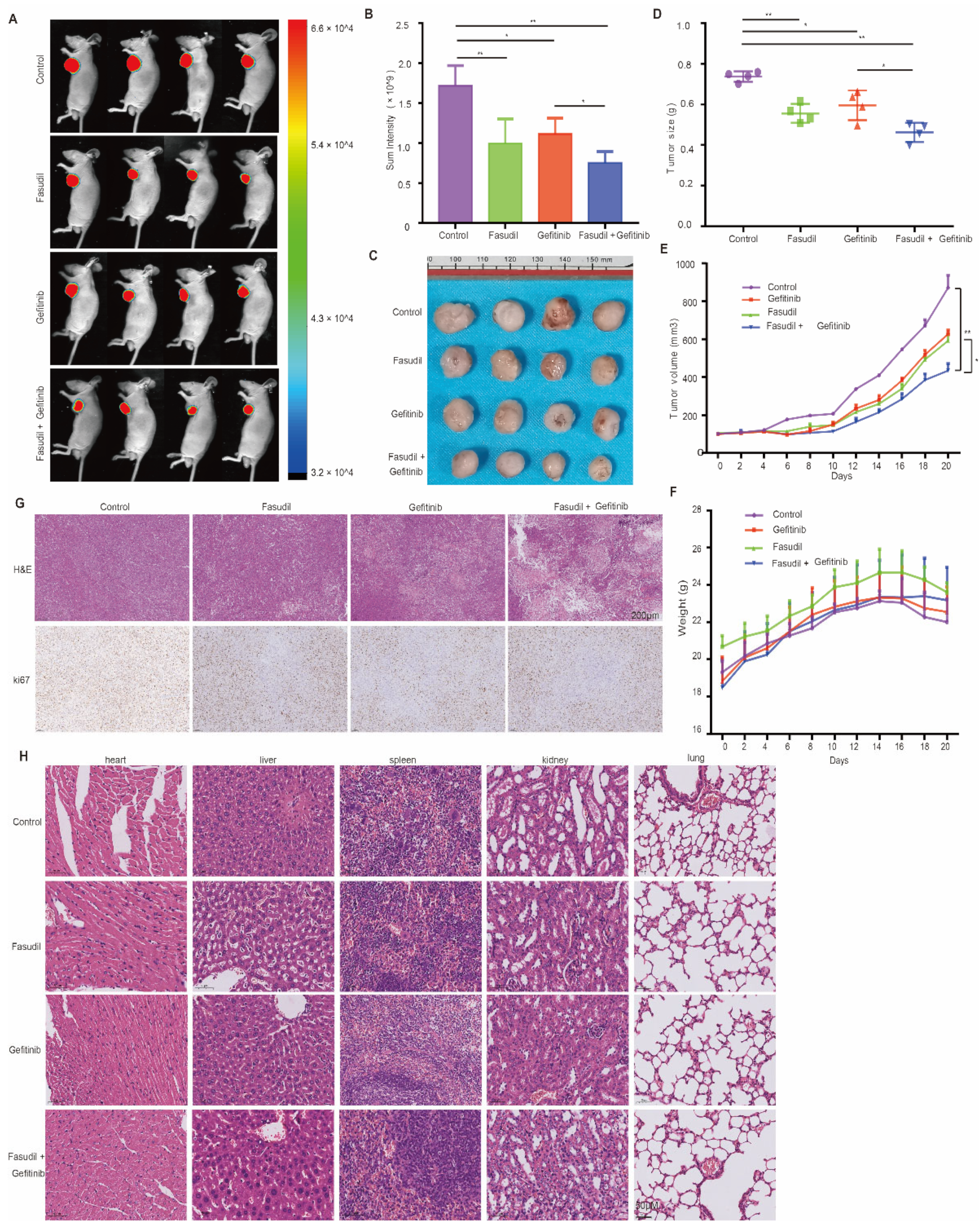 Cancers 14 04709 g006