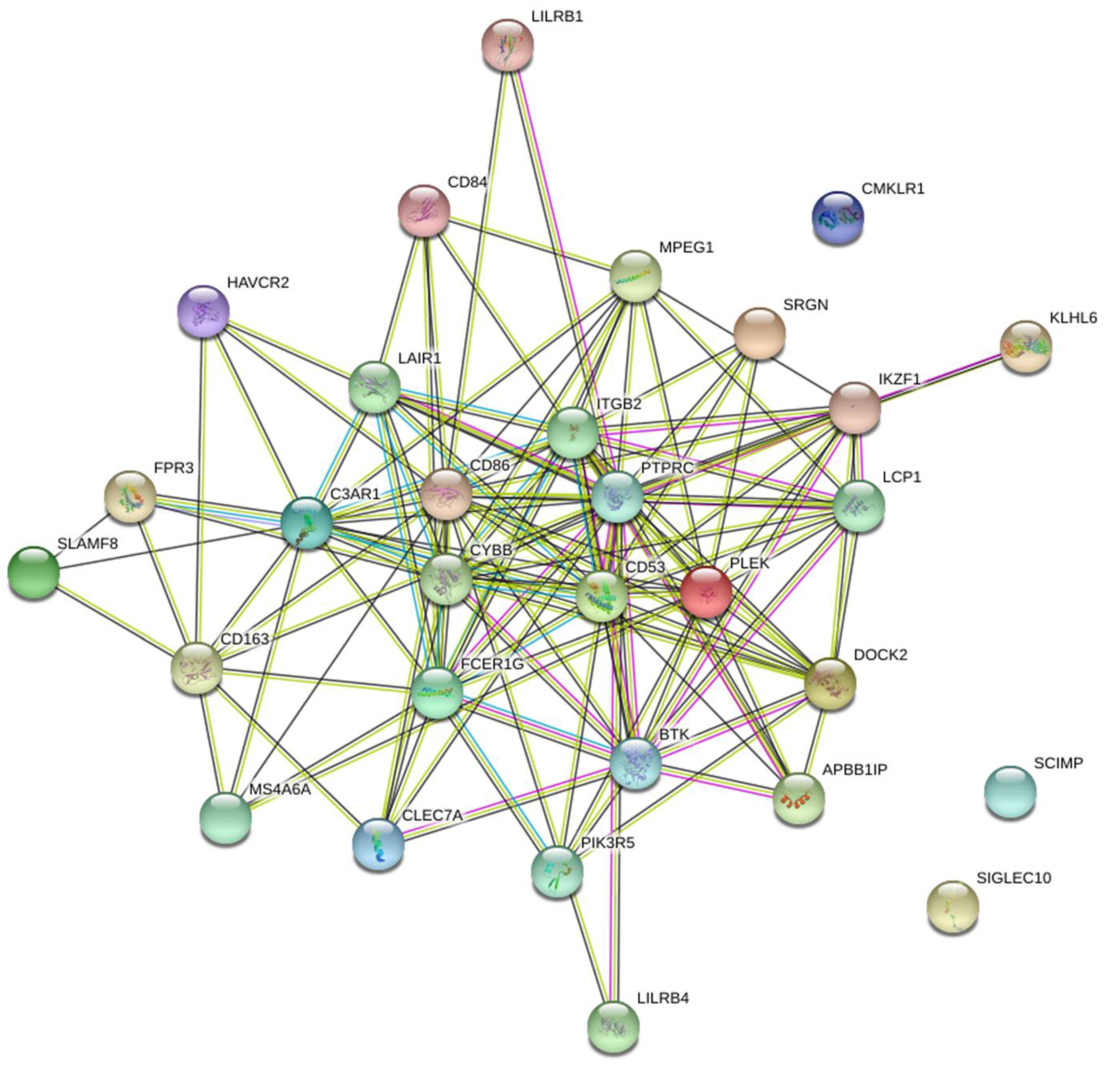 Cancers 14 04713 g005