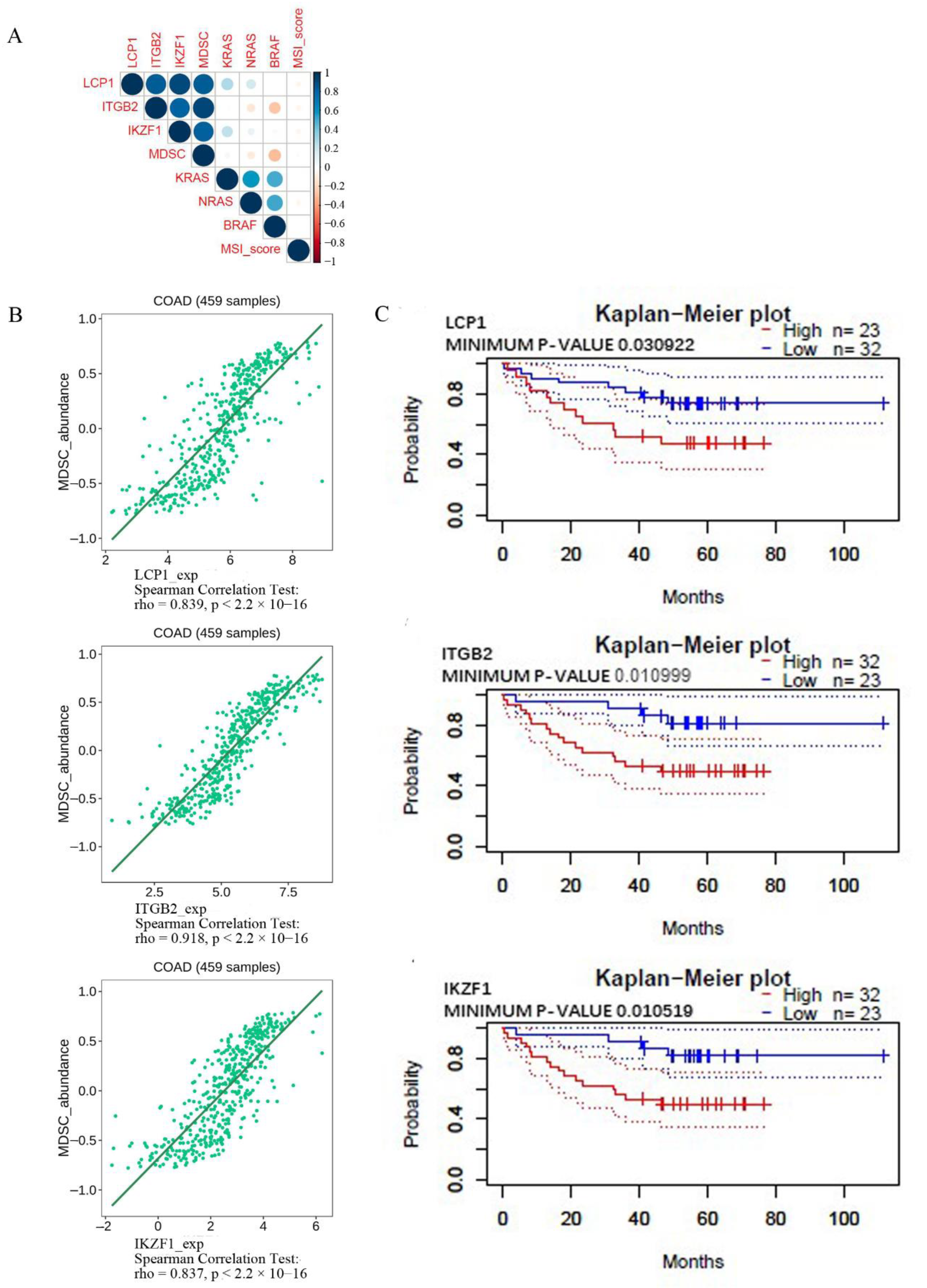 Cancers 14 04713 g007