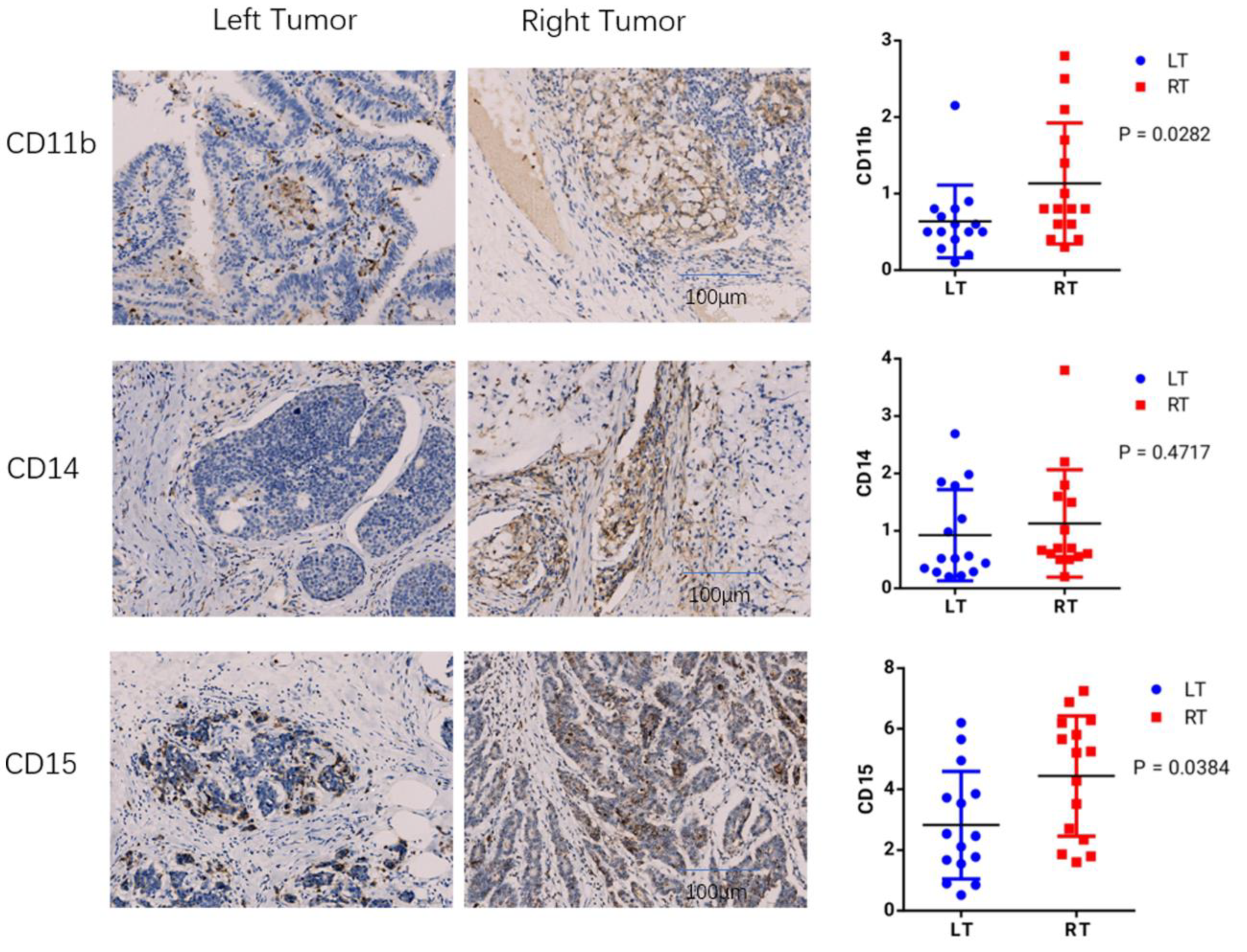 Cancers 14 04713 g008