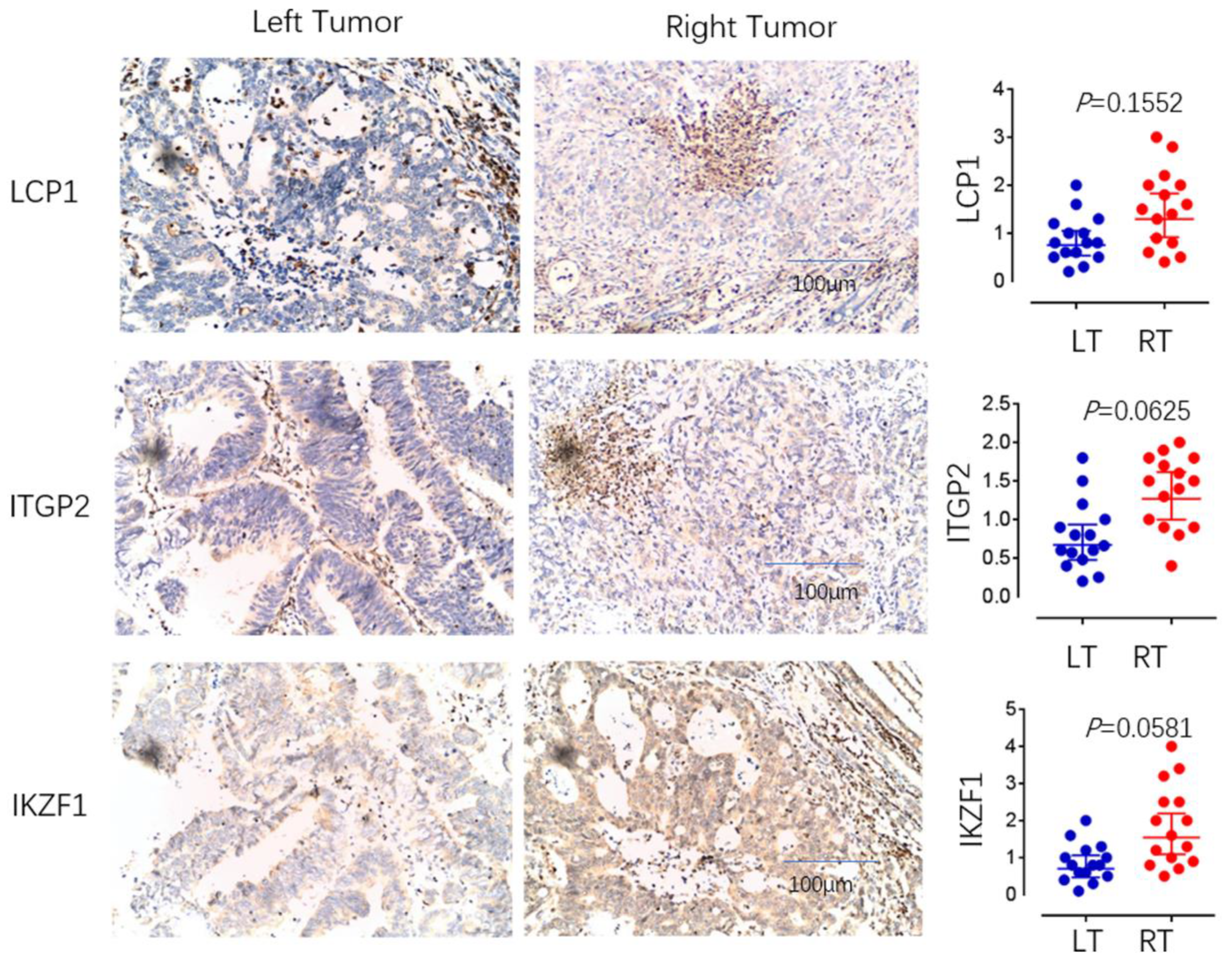 Cancers 14 04713 g009