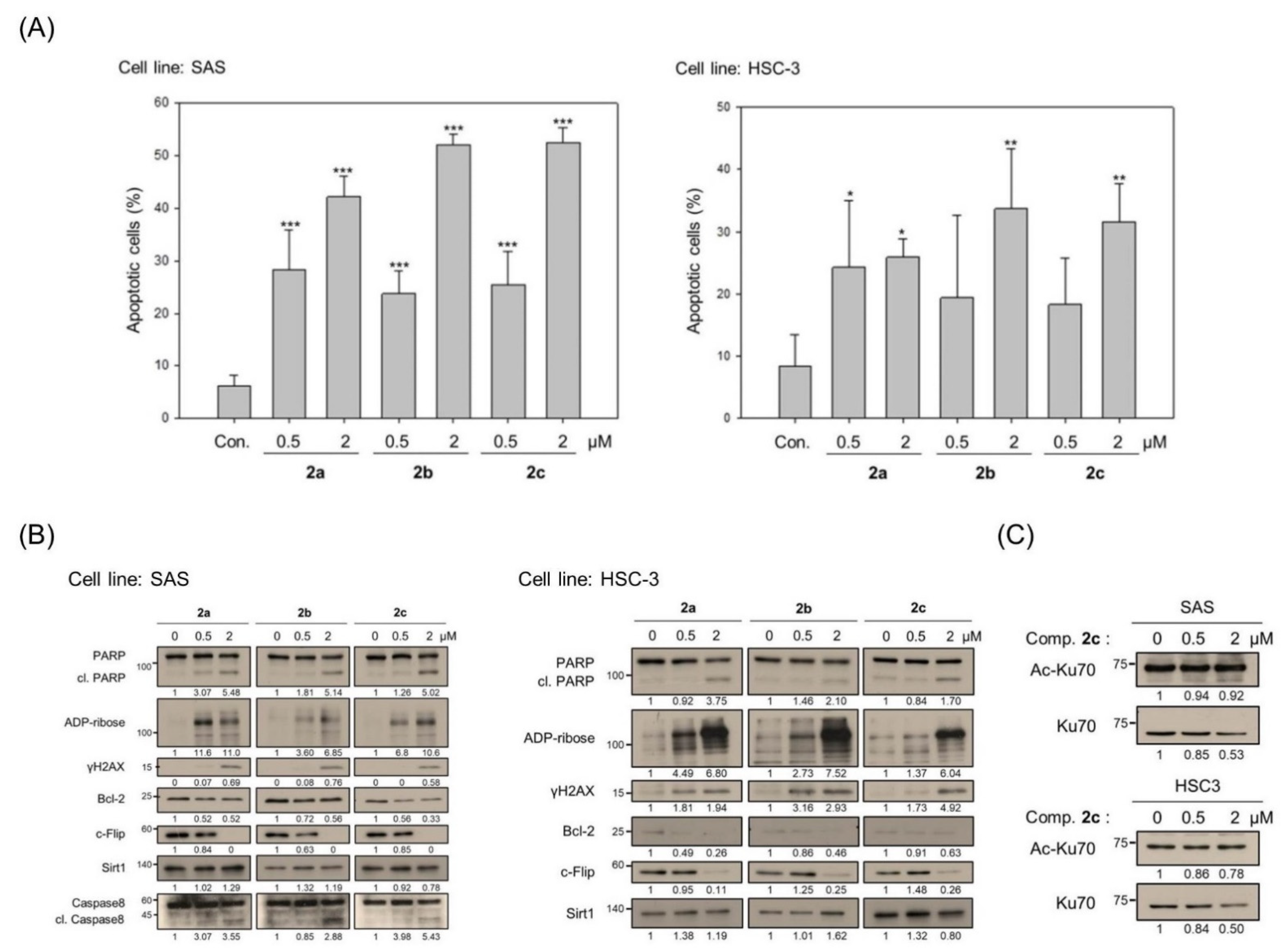 Cancers 14 04719 g003
