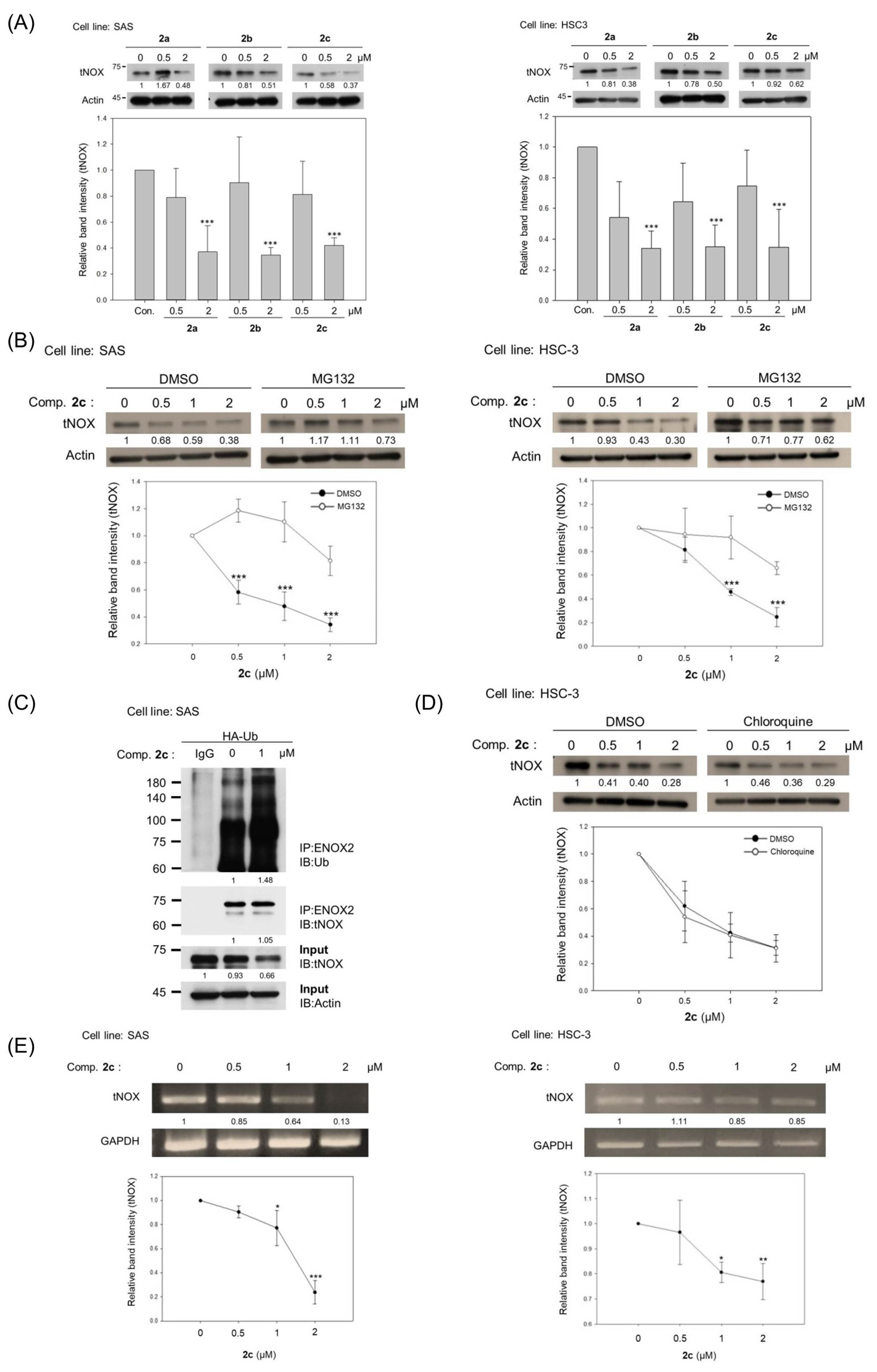Cancers 14 04719 g004