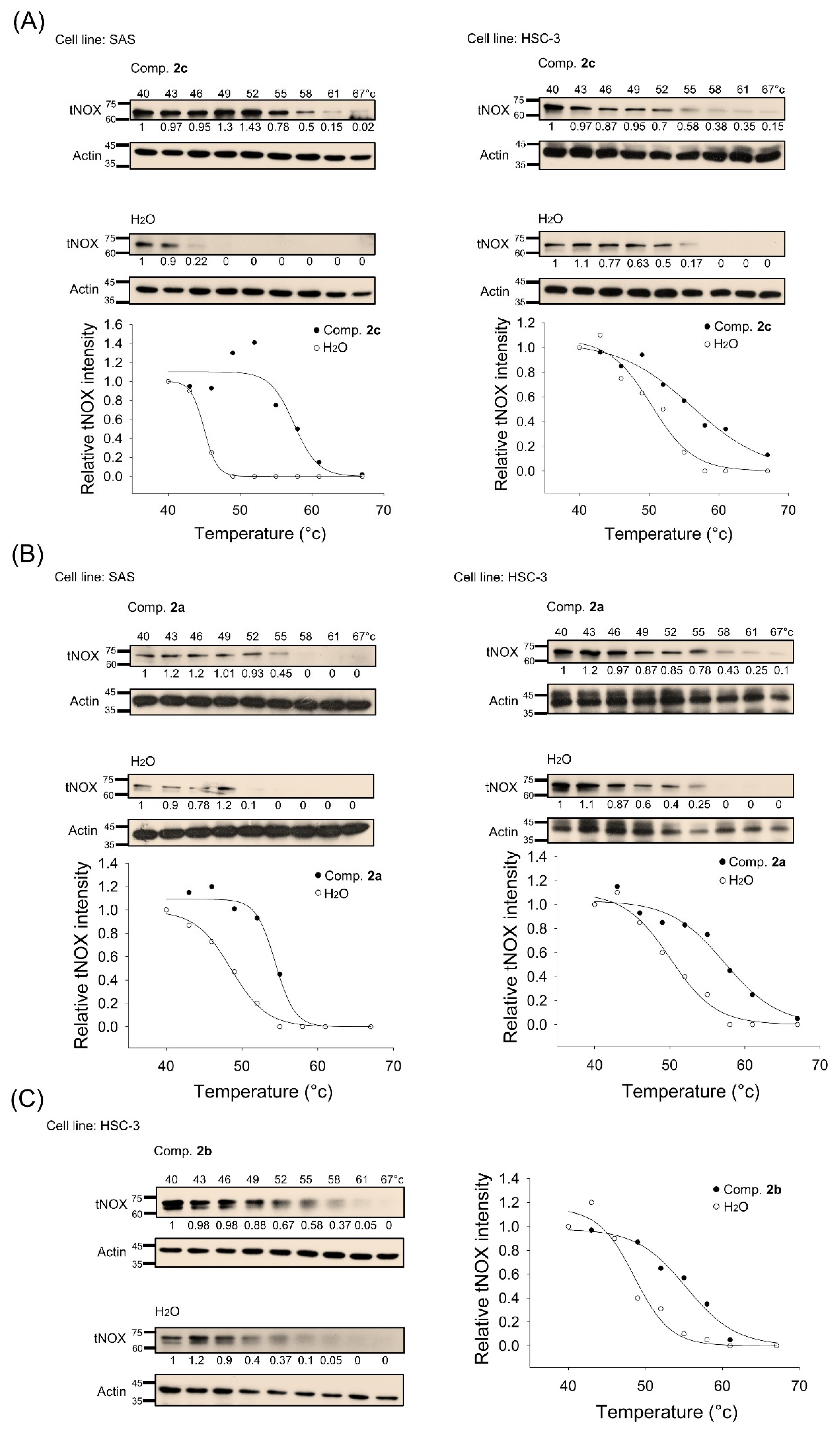 Cancers 14 04719 g005