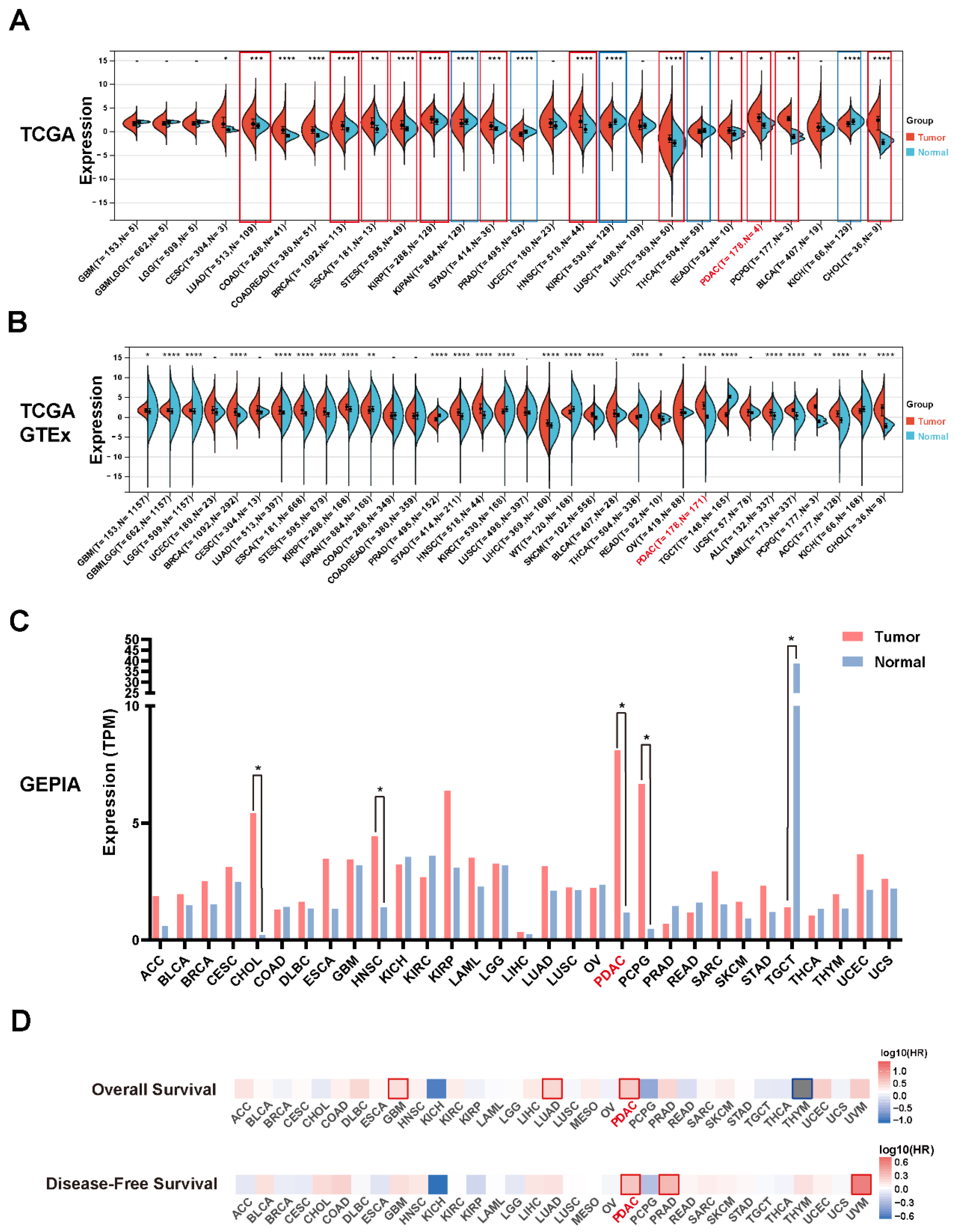 Cancers 14 04722 g001