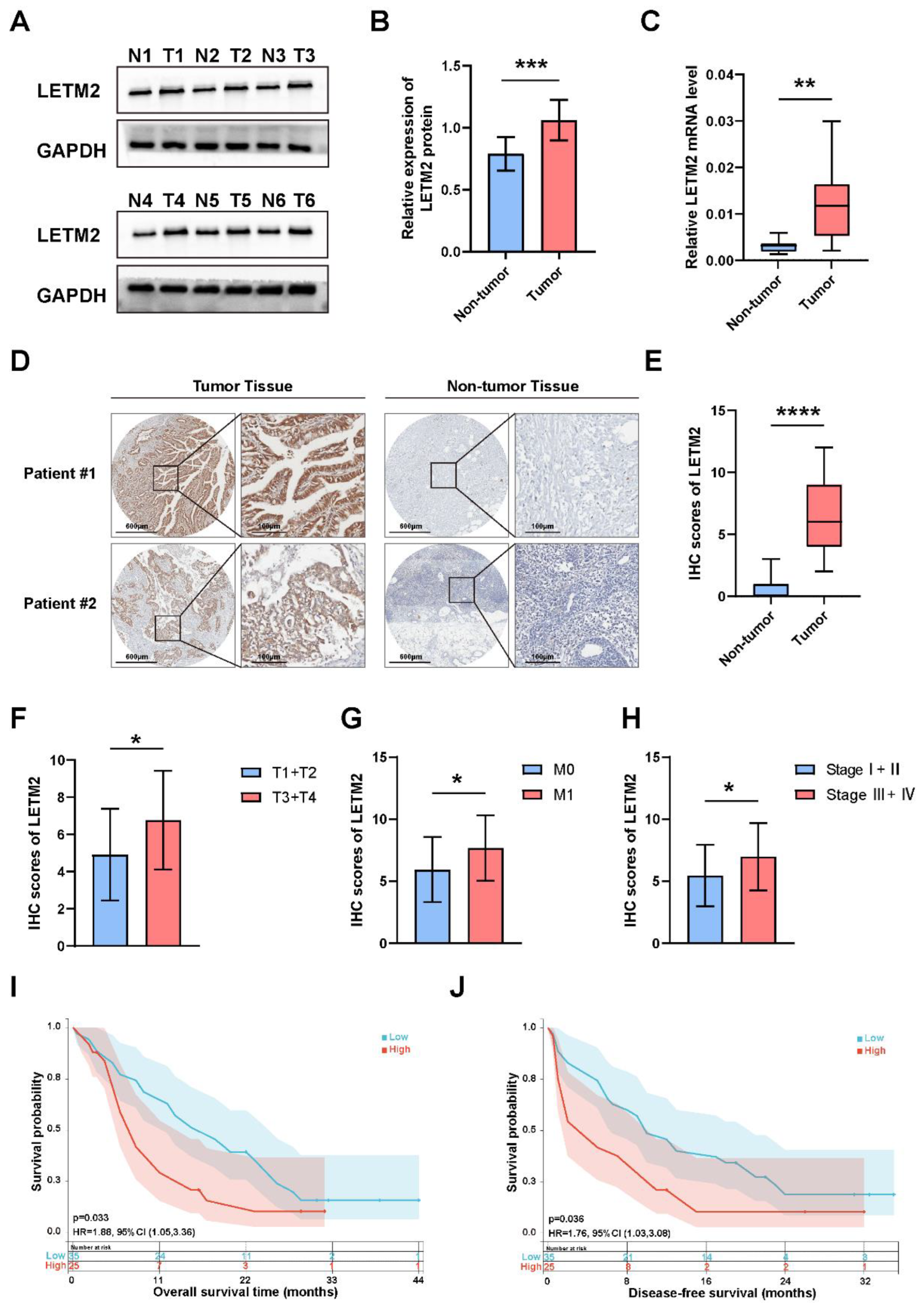 Cancers 14 04722 g003