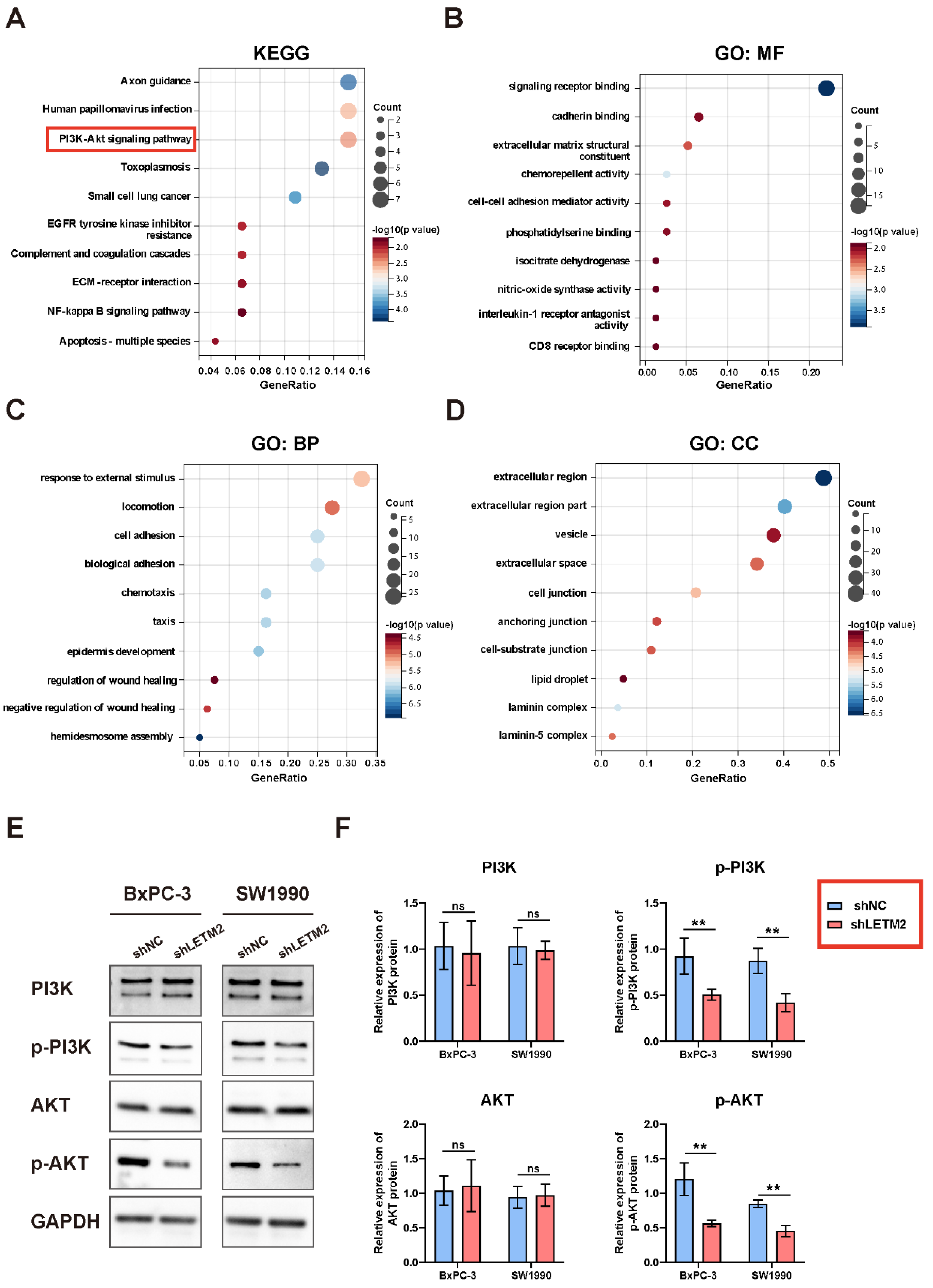 Cancers 14 04722 g006