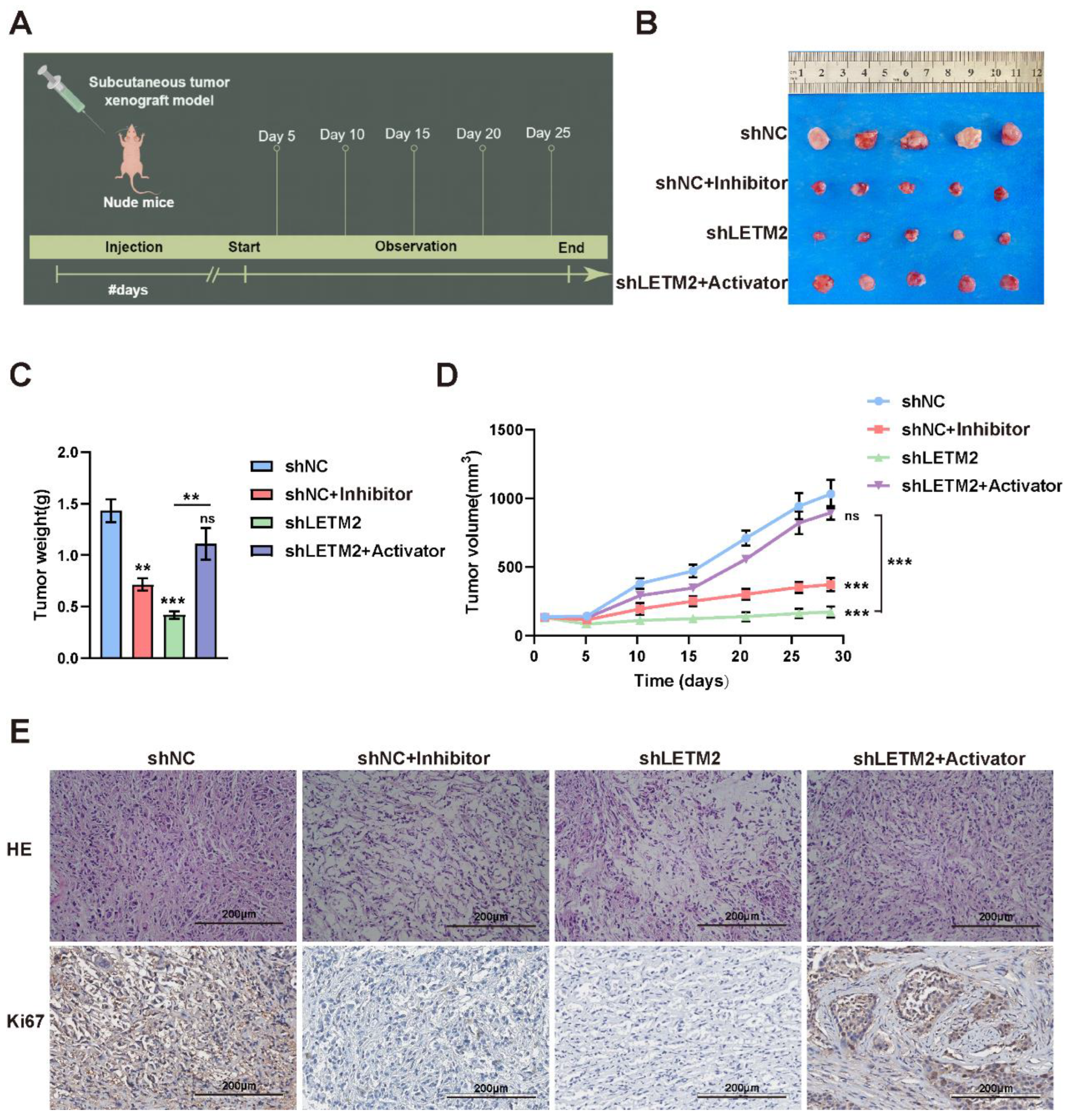 Cancers 14 04722 g008