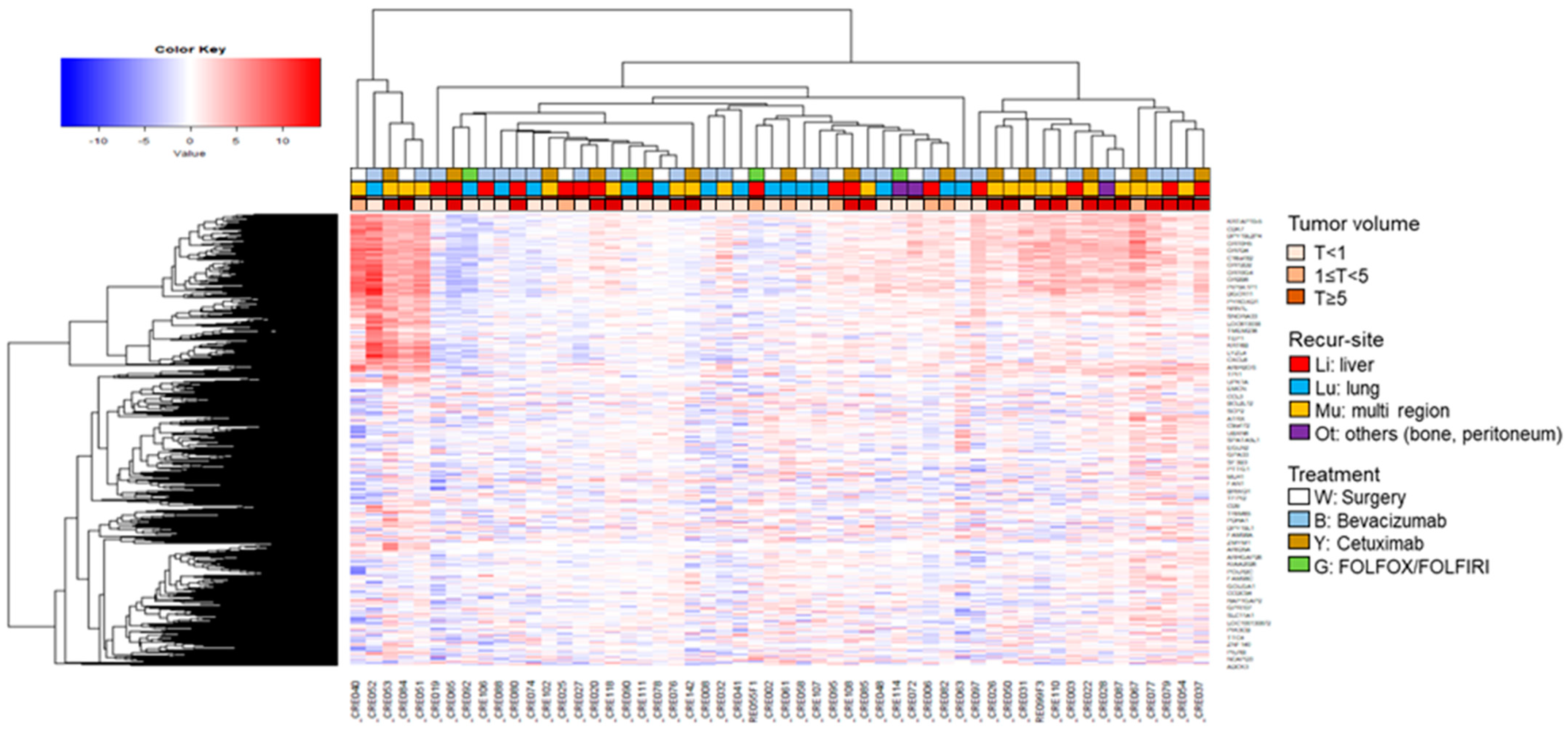 Cancers 14 04723 g002