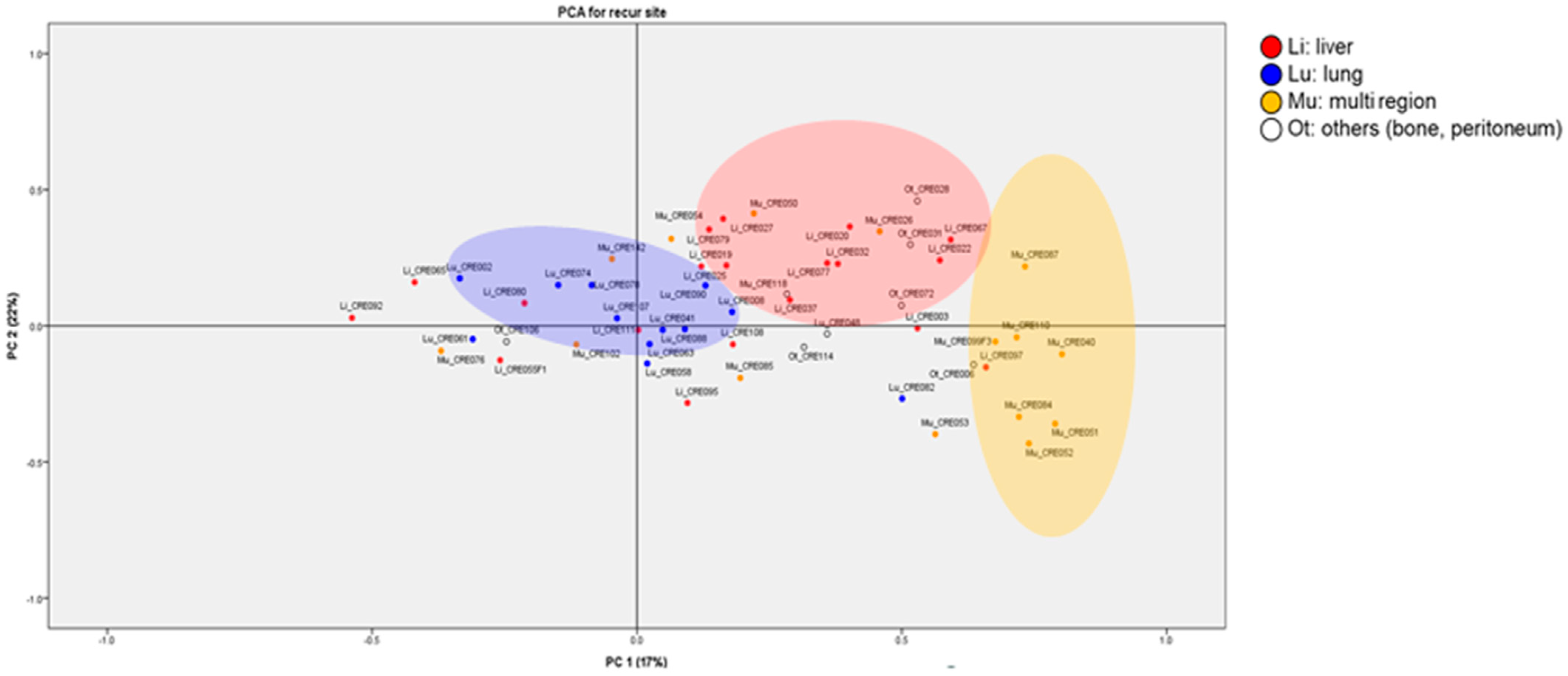 Cancers 14 04723 g003