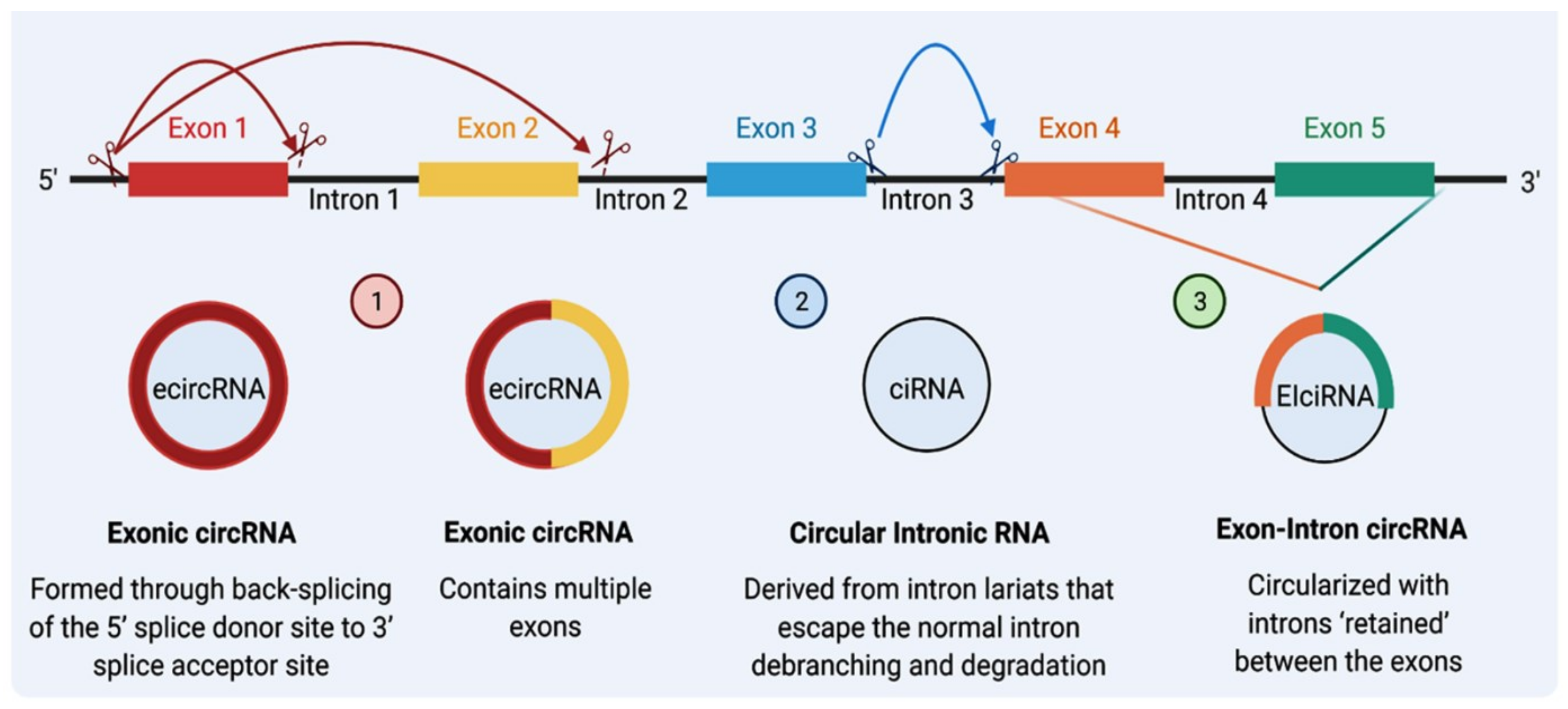 Cancers 14 04728 g001 Cancers 14 04728 g001