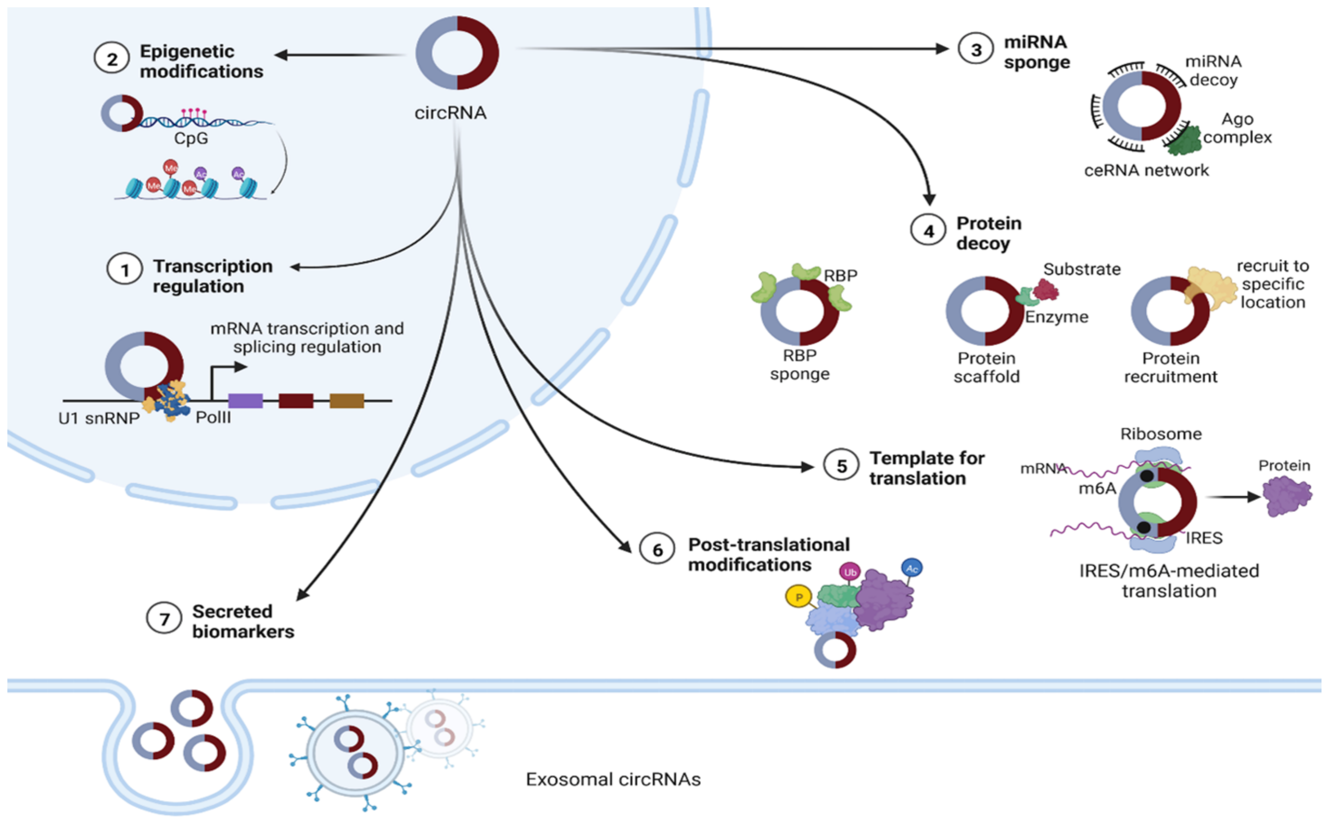 Cancers 14 04728 g002 Cancers 14 04728 g002