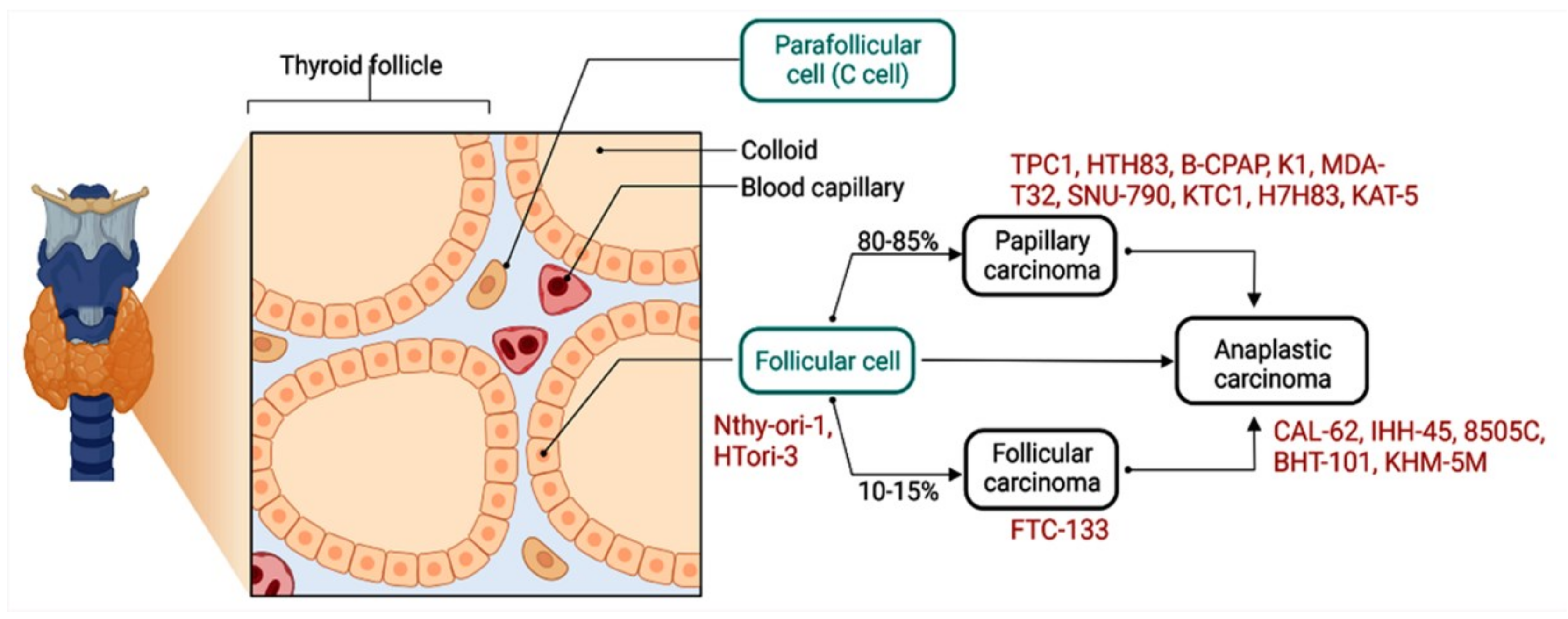 Cancers 14 04728 g004 Cancers 14 04728 g004