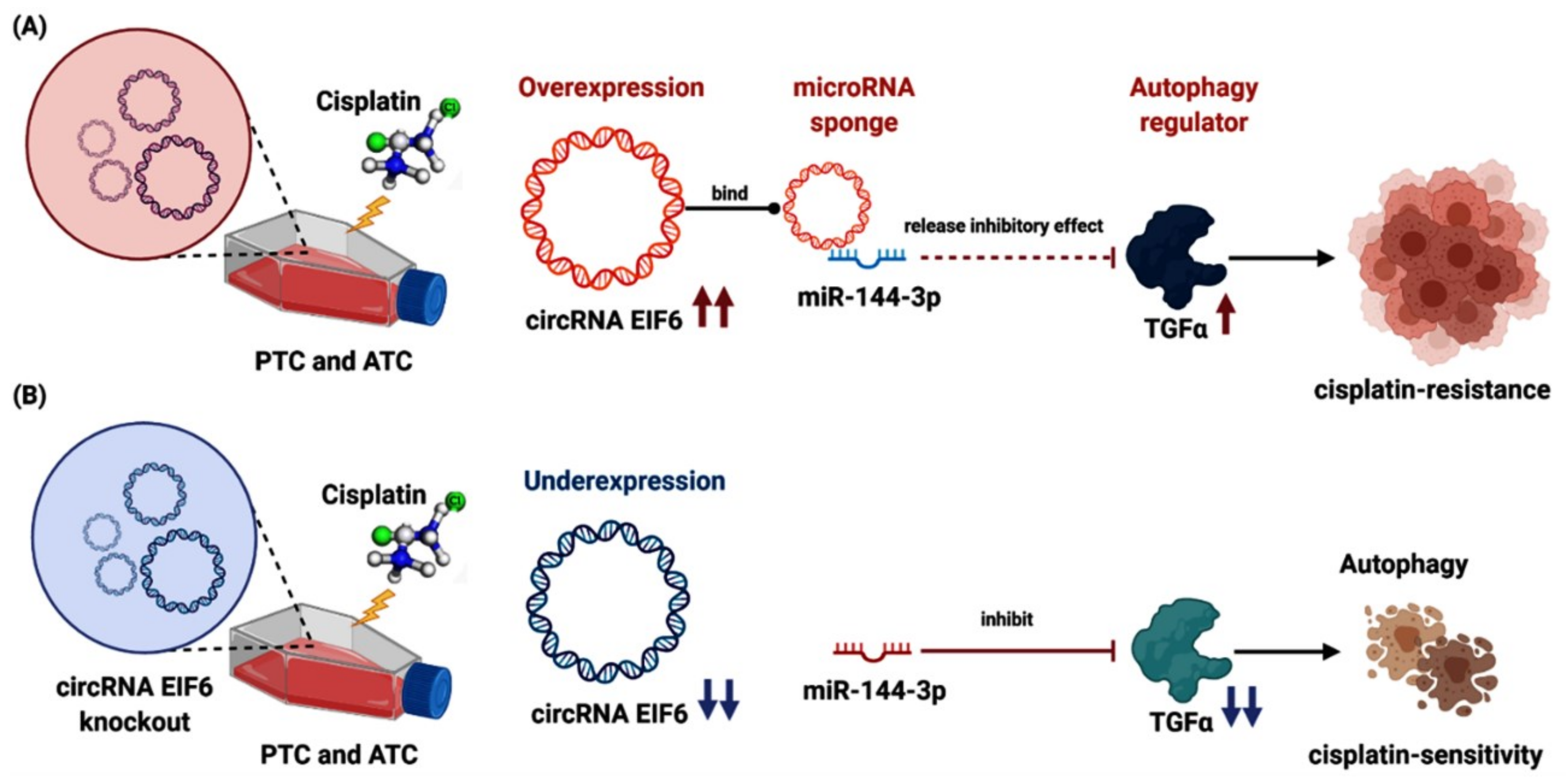 Cancers 14 04728 g005 Cancers 14 04728 g005