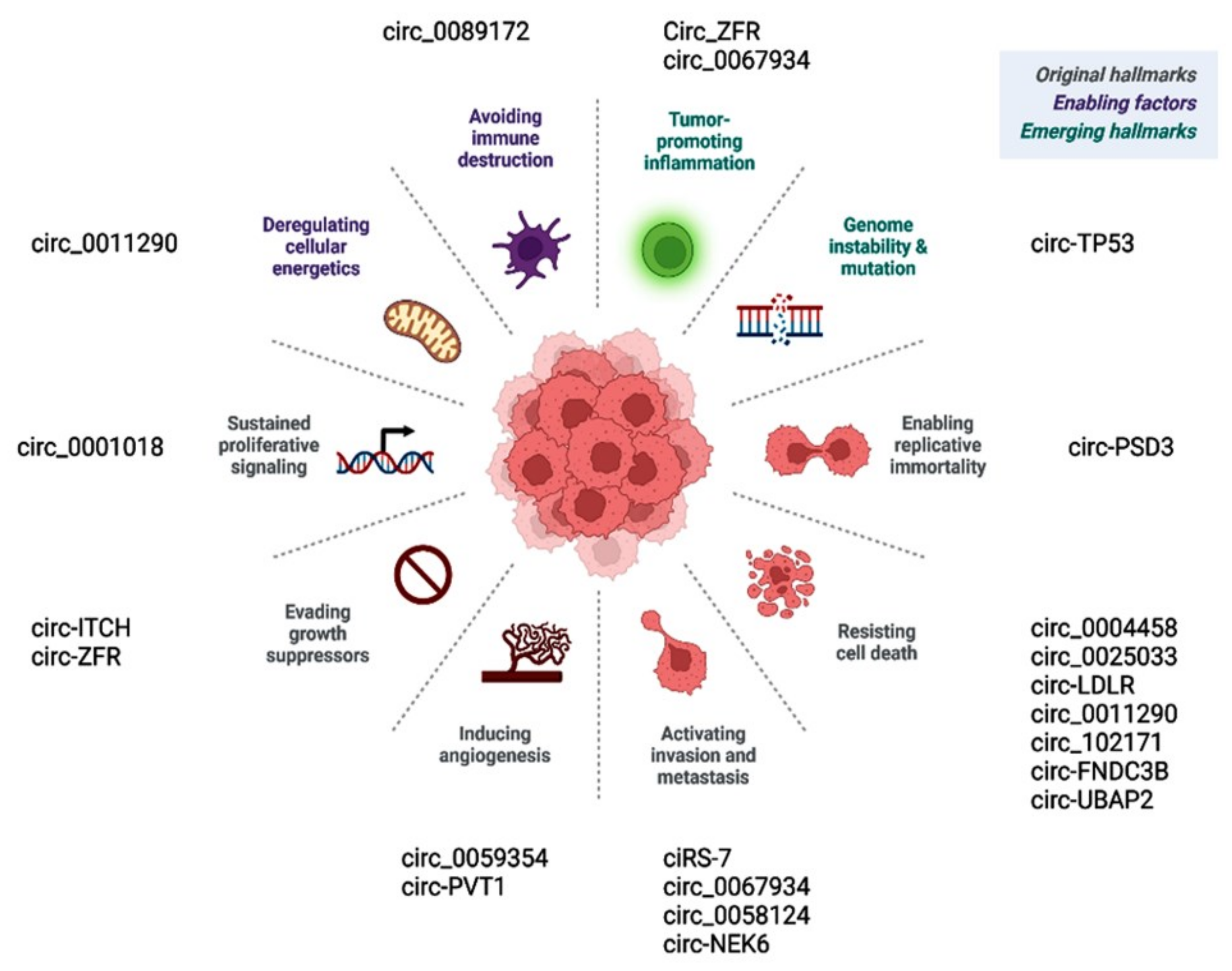 Cancers 14 04728 g006 Cancers 14 04728 g006