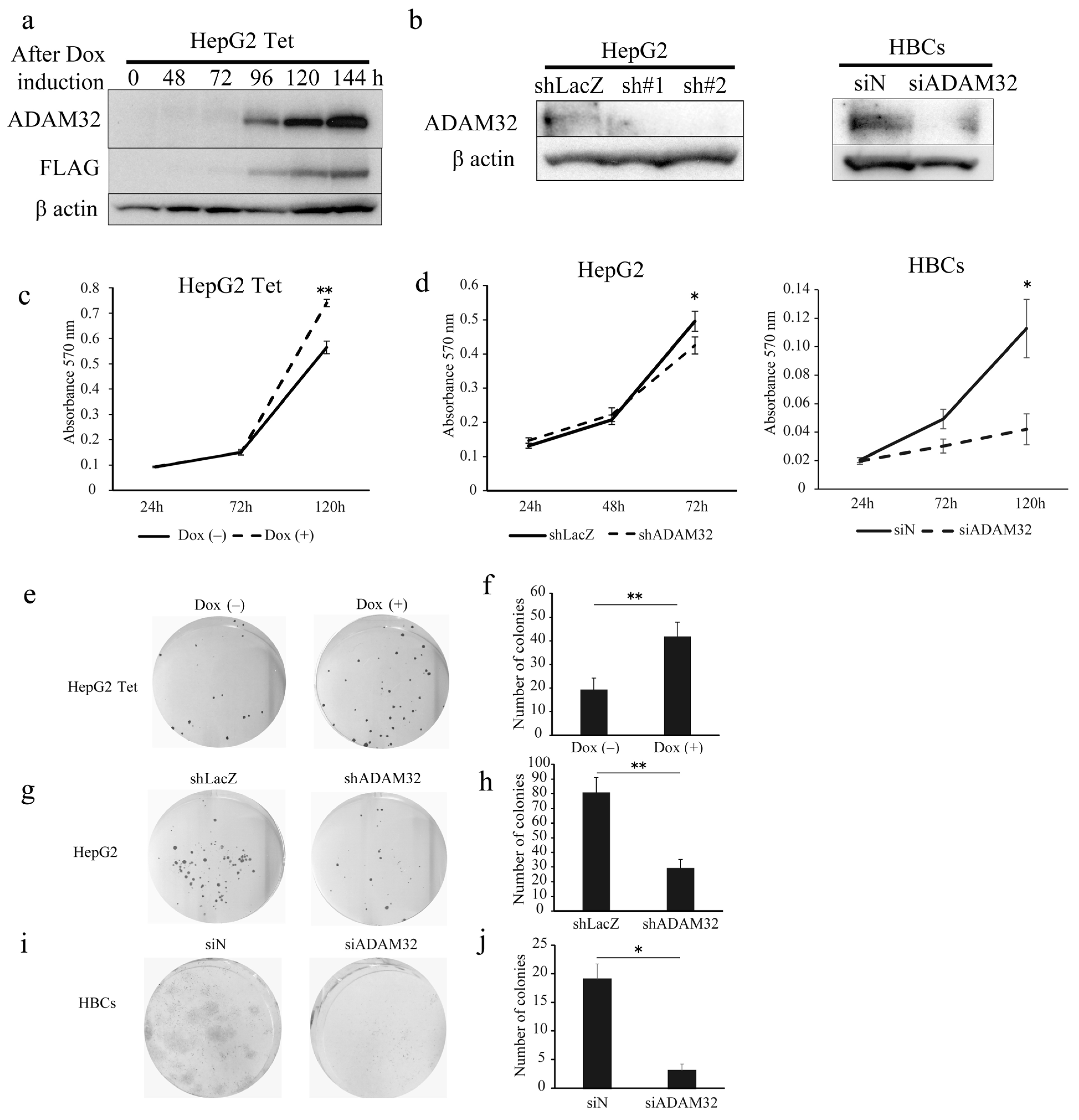 Cancers 14 04732 g002