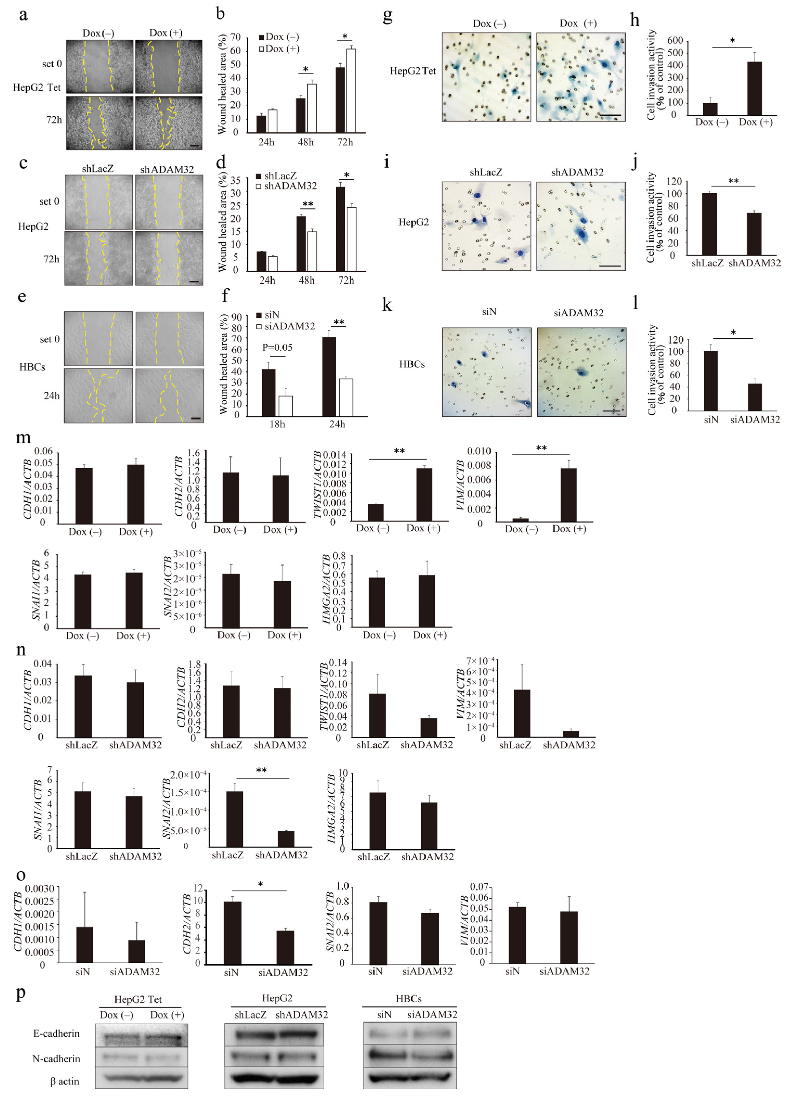 Cancers 14 04732 g004